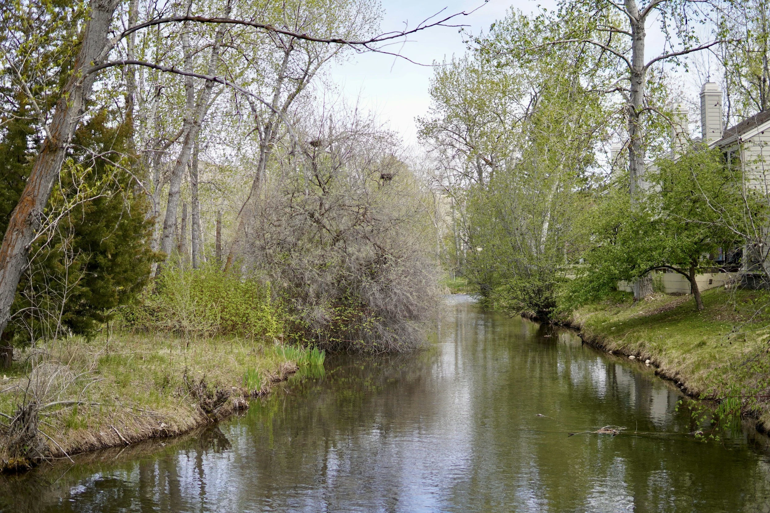 image of the boise river
