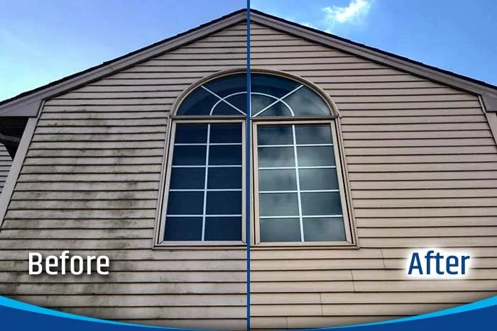 Professional House Soft Washing in Boise & the Treasure Valley of Idaho