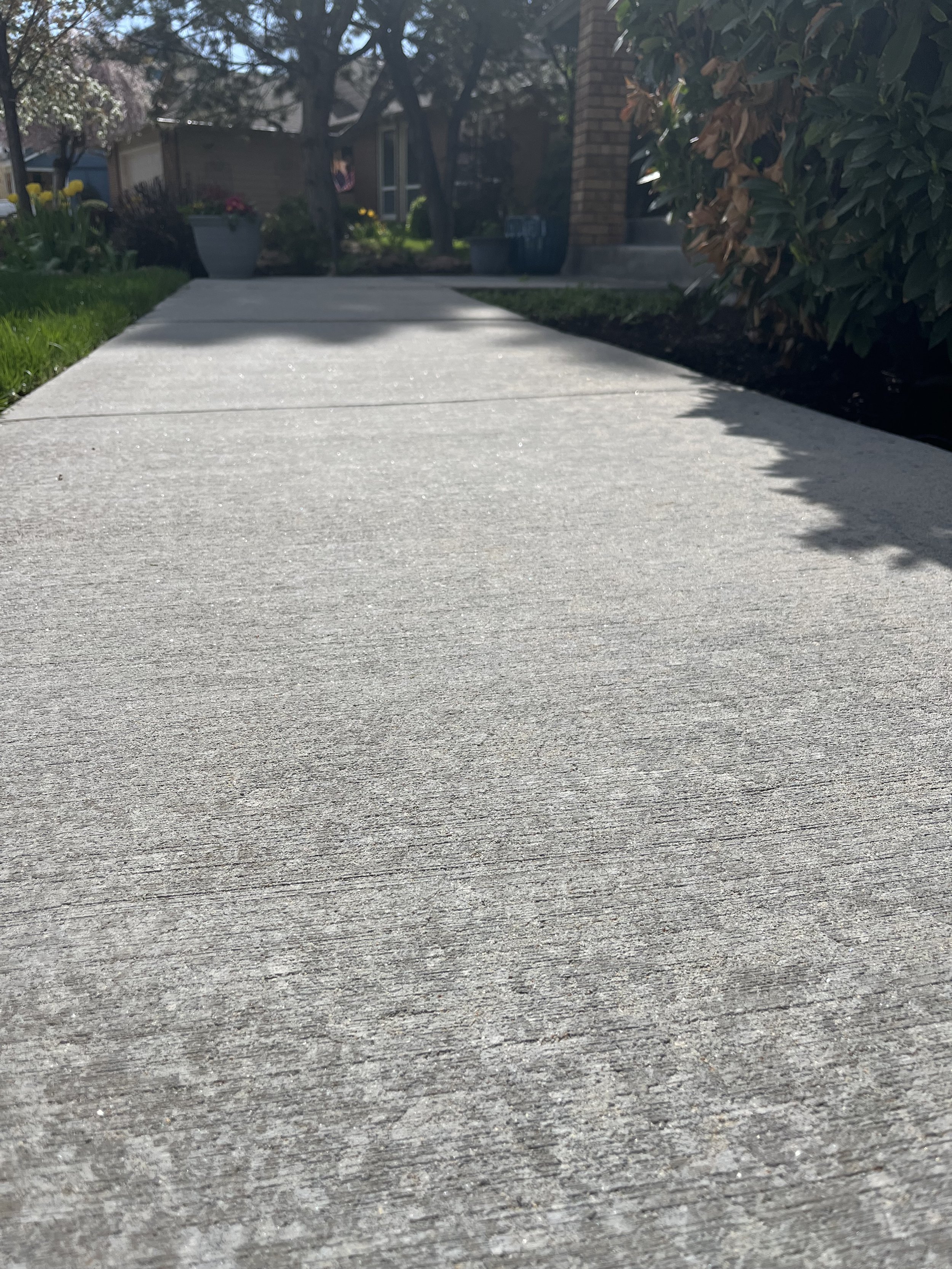 Walkway & Entryway Cleaning in Boise & the Treasure Valley