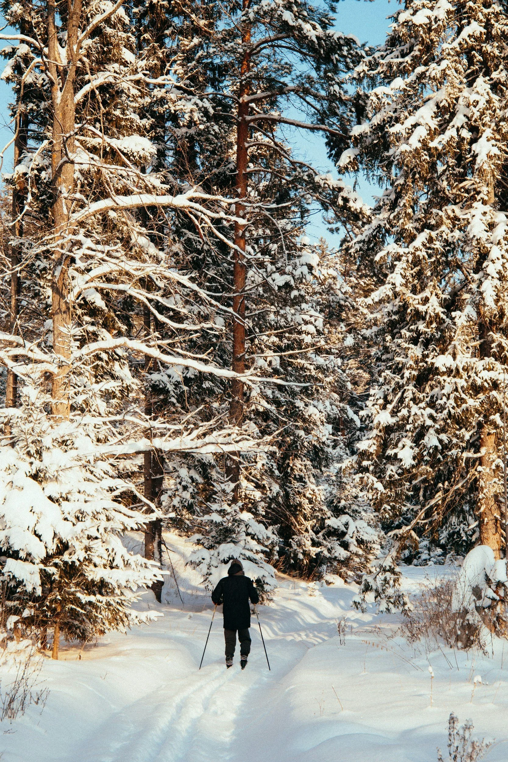 Finish Strong: How to Maintain Strength &amp; Movement During the Holiday Rush in Whitefish Bay, Wisconsin