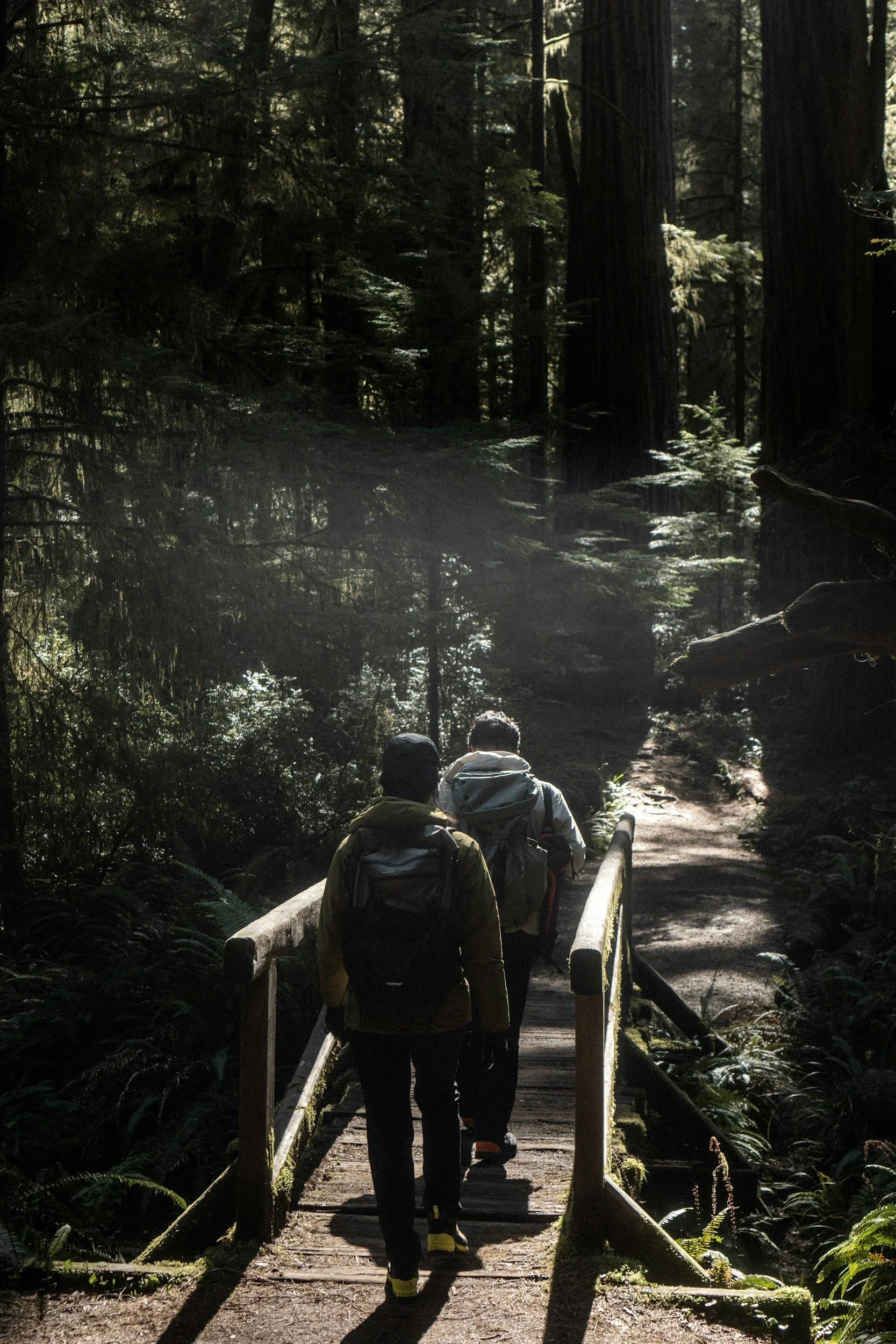 🥾 Top 5 Hiking Trails Around MKE