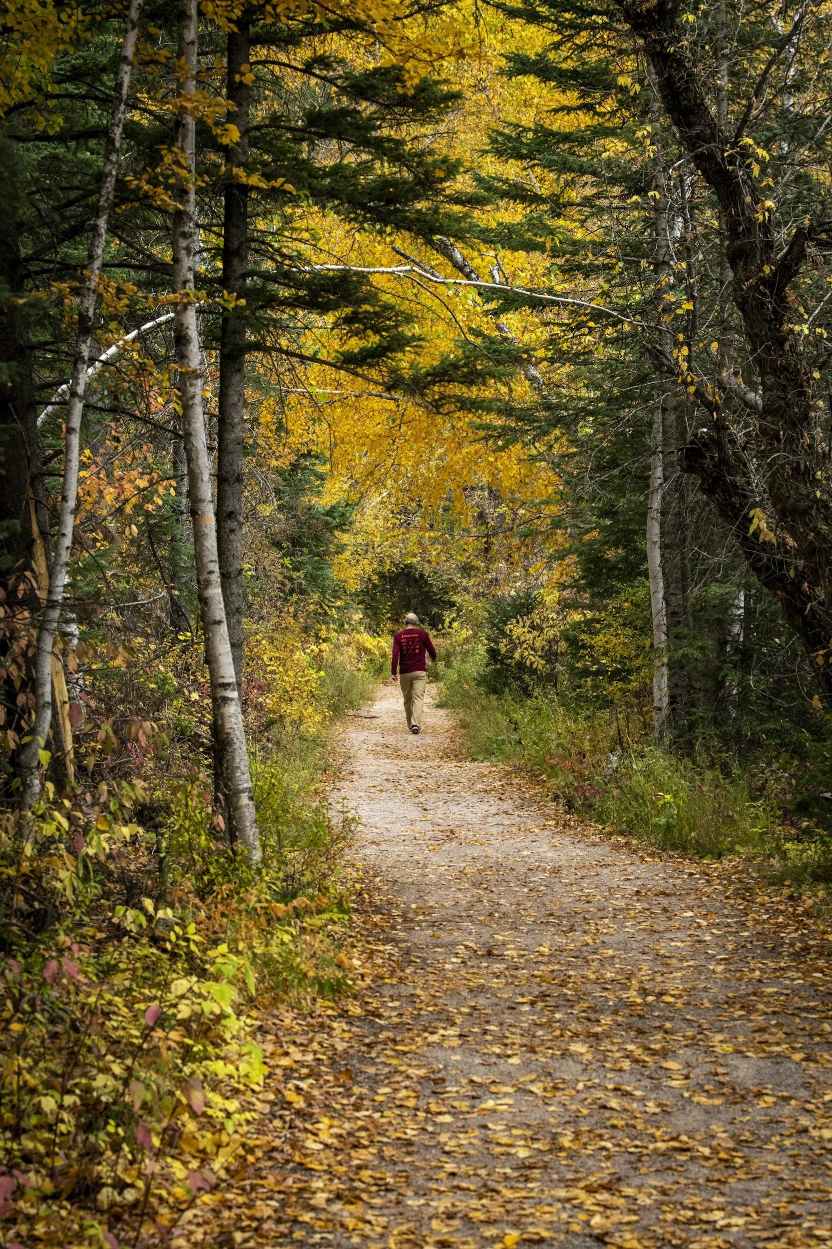 Trail-Ready: How to Prepare Your Body for Fall Hiking Adventures