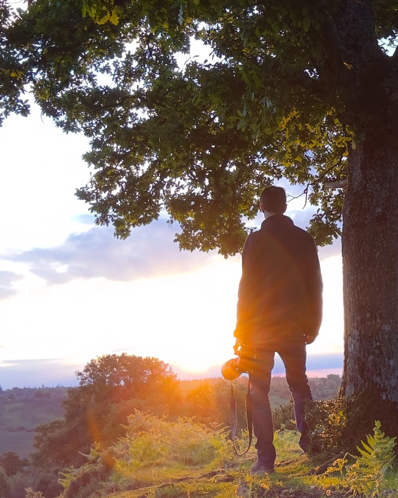 A person standing next to a tree during sunset, holding a camera, with sunlight peeking through the leaves and the landscape in the background.