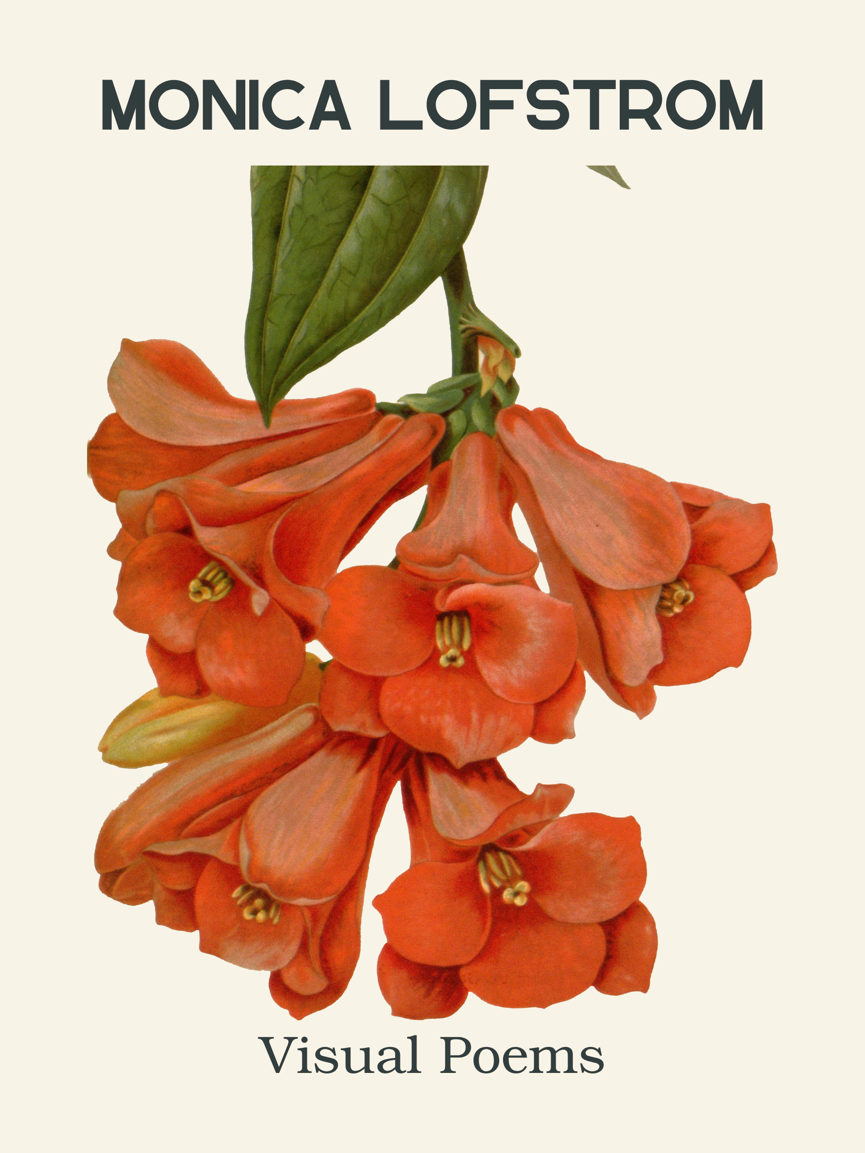 Book cover titled 'Visual Poems' by Monica Lofstrom, featuring a close-up of orange flowers with green leaves on a white background.