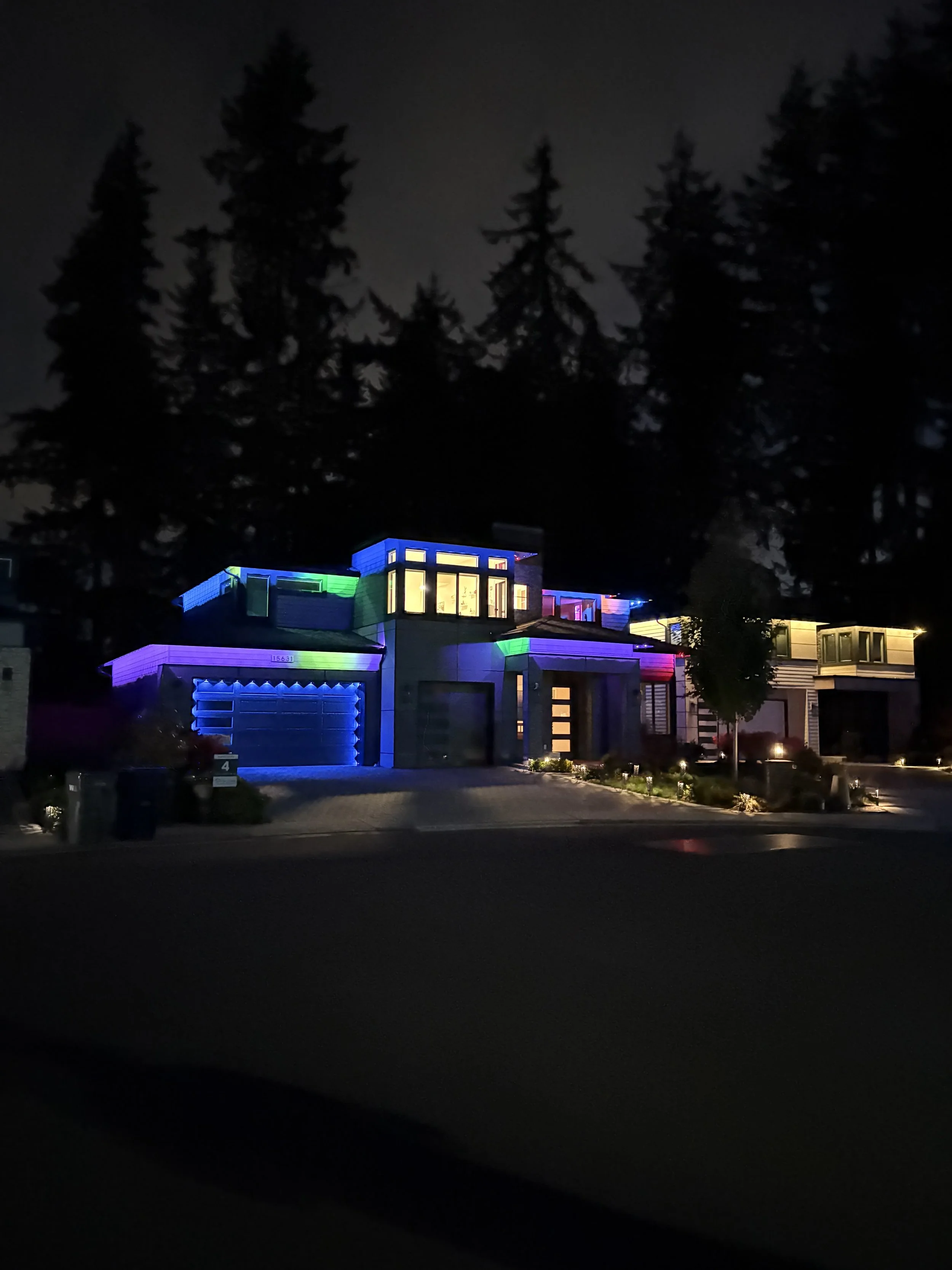 Seasonal Holiday Lights