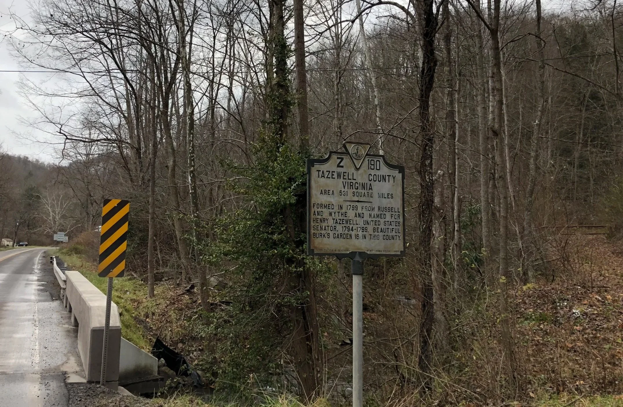 A highway sign indicating the border of Tazewell County, Virginia, with trees and a wooded hillside in the background.