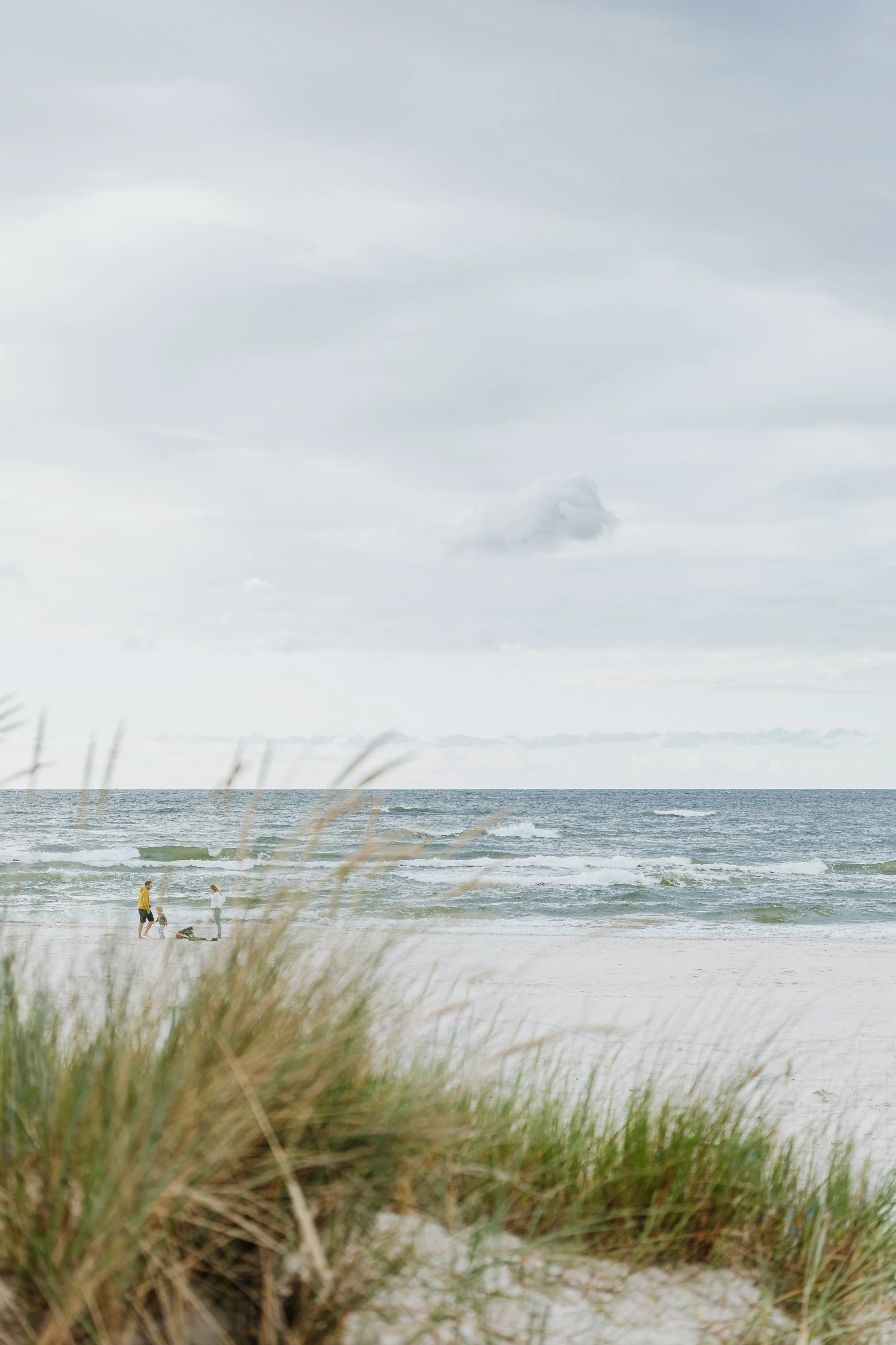 Beach scene with grassy foreground, ocean waves, cloudy sky, and a family of four with two children near the shoreline.
