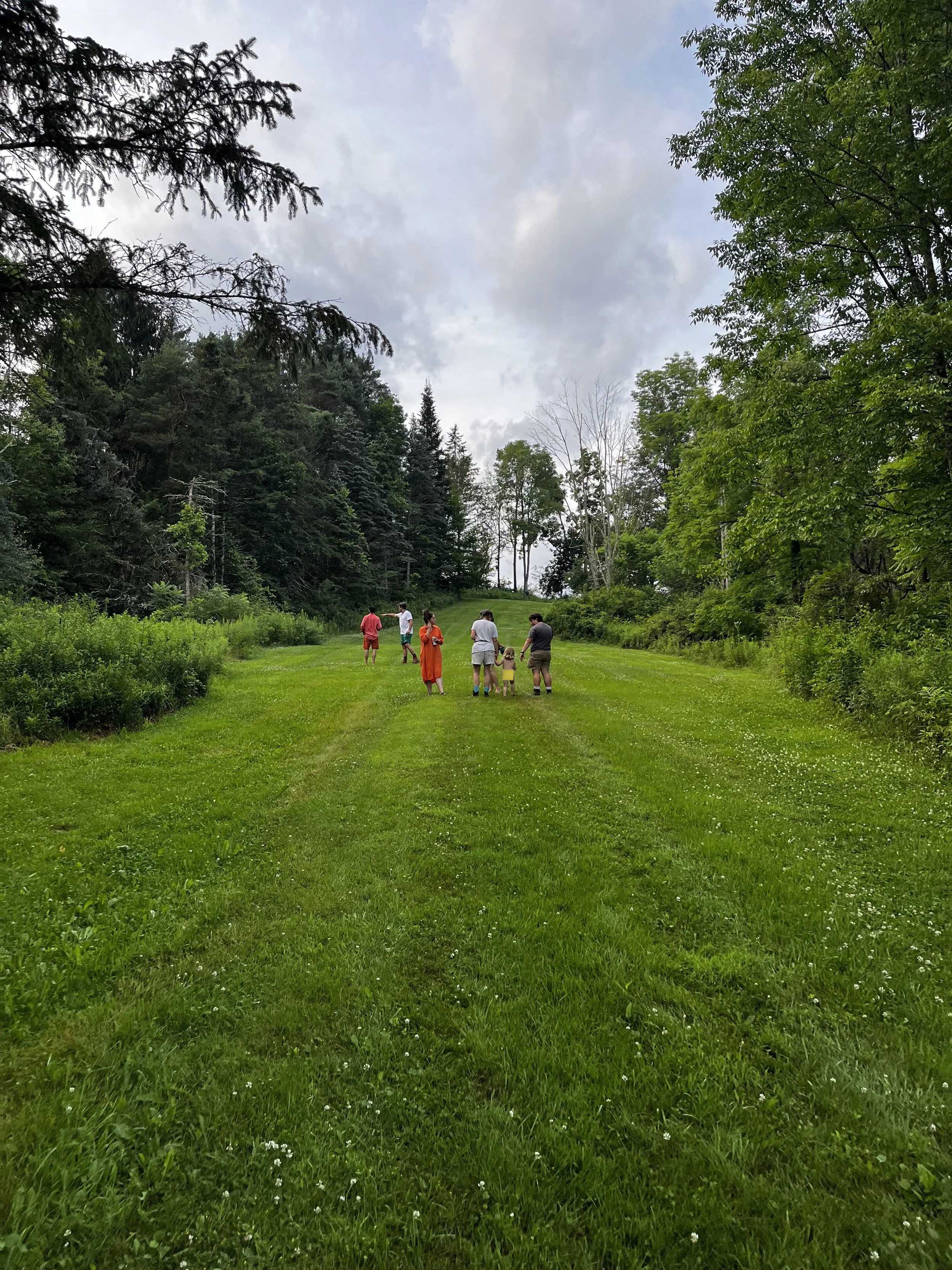 A group of people standing and walking on a grassy clearing surrounded by trees, with a cloudy sky overhead.