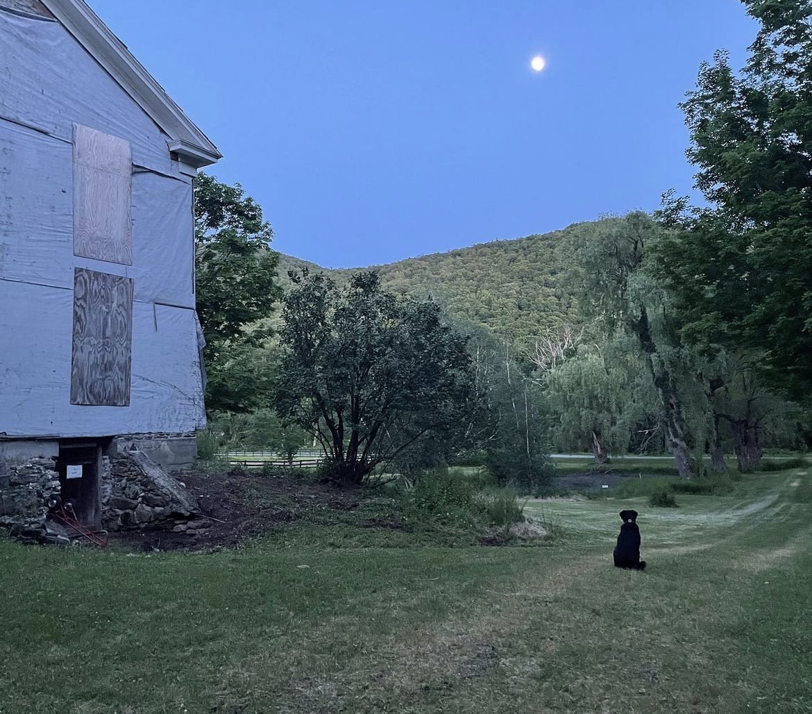 Nighttime scene of a rural yard with a black dog sitting on grass, trees, hills in the background, a white house with boarded-up windows, and the moon in a clear sky.