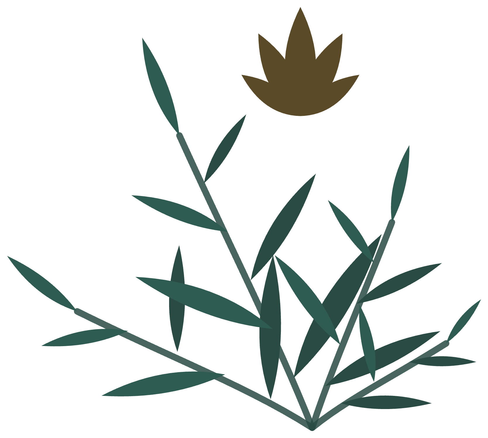 Illustration of a plant with green leaves and a brown flower at the top.