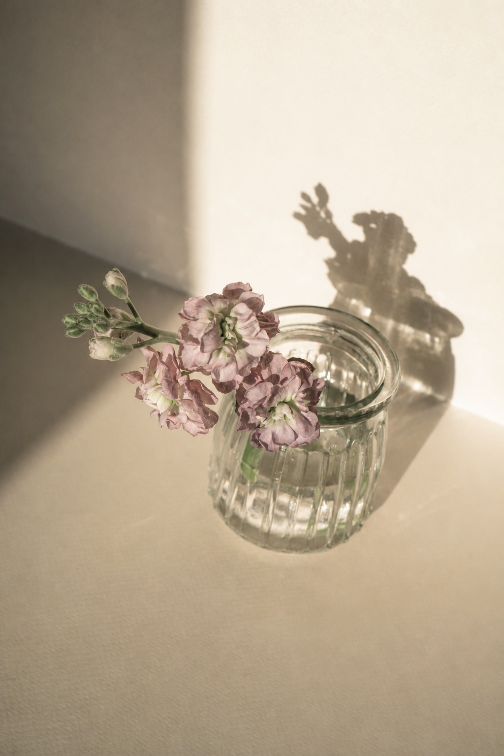 Pink flowers in a glass vase on a light-colored surface, with their shadow cast on a white wall.