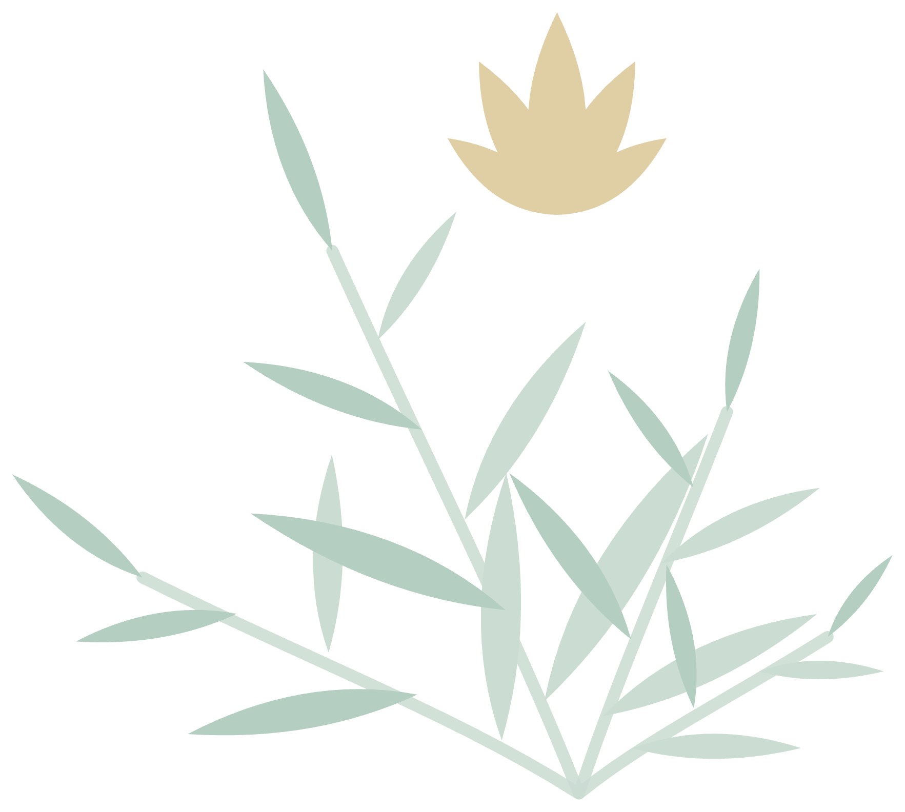 A minimalistic illustration of a light green plant with elongated leaves and a beige flower at the top, set against a black background.