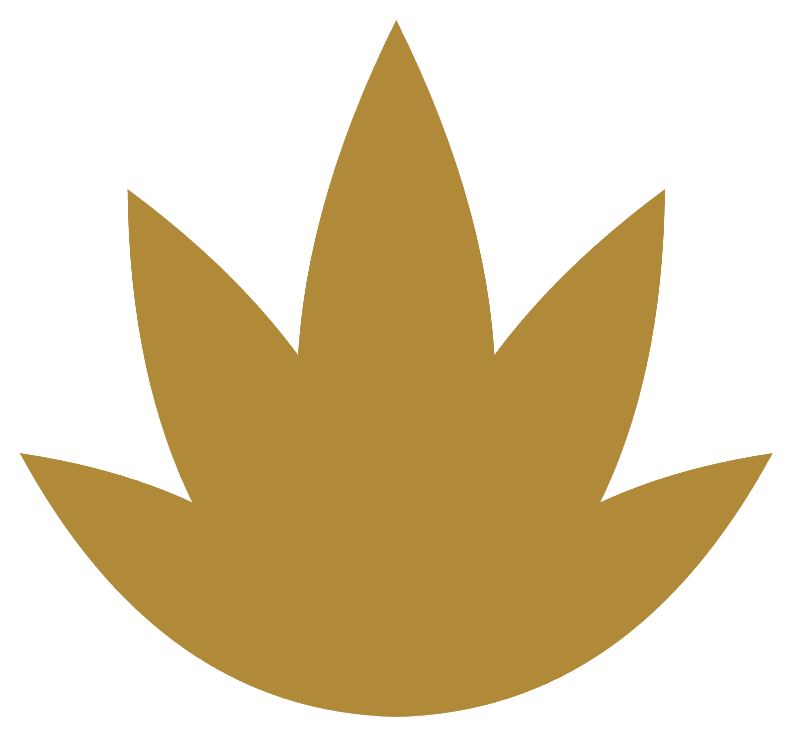 A stylized illustration of a gold crown on a black background.