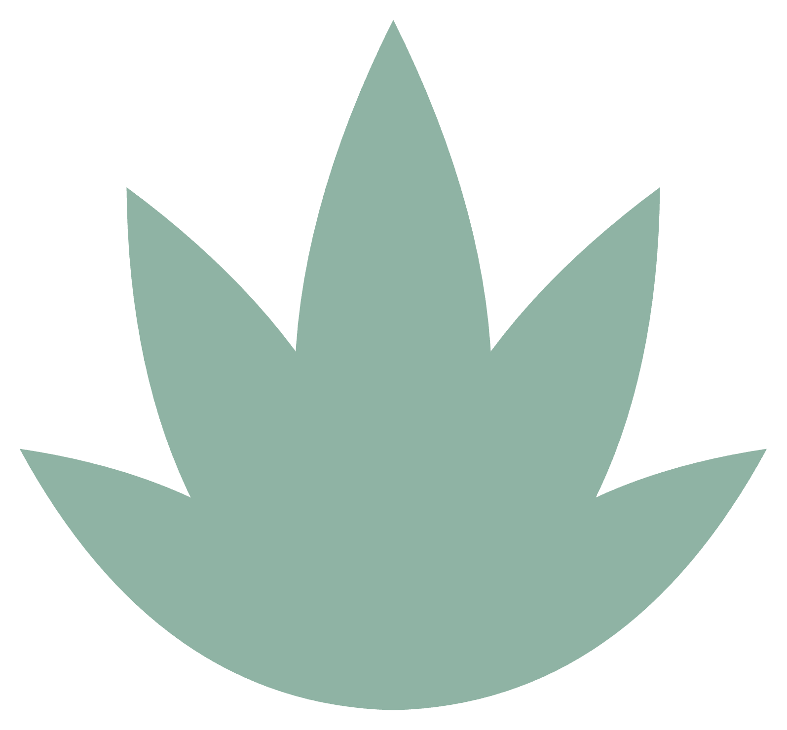 A stylized illustration of a light green aloe vera plant on a black background.