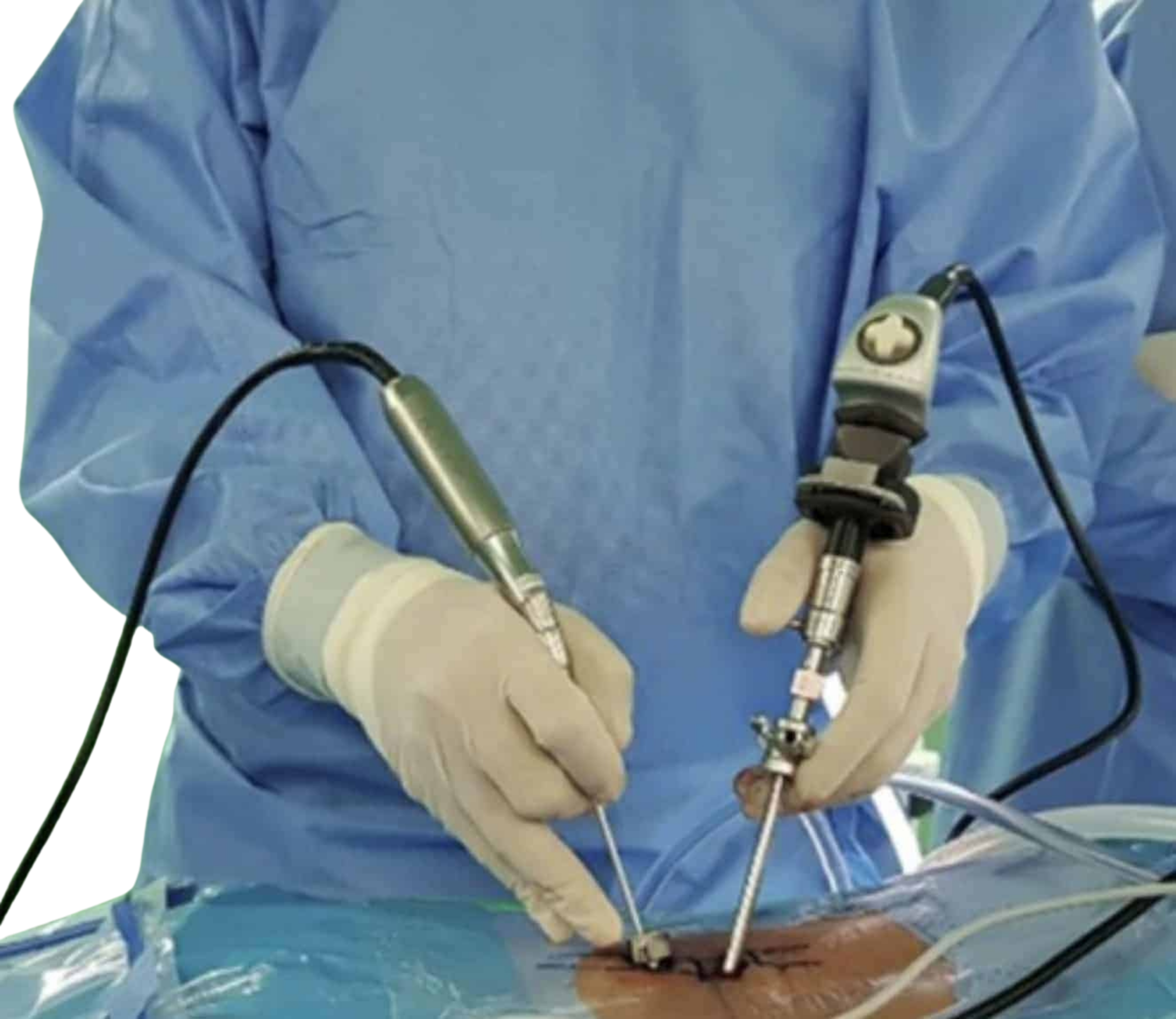 Biportal.png