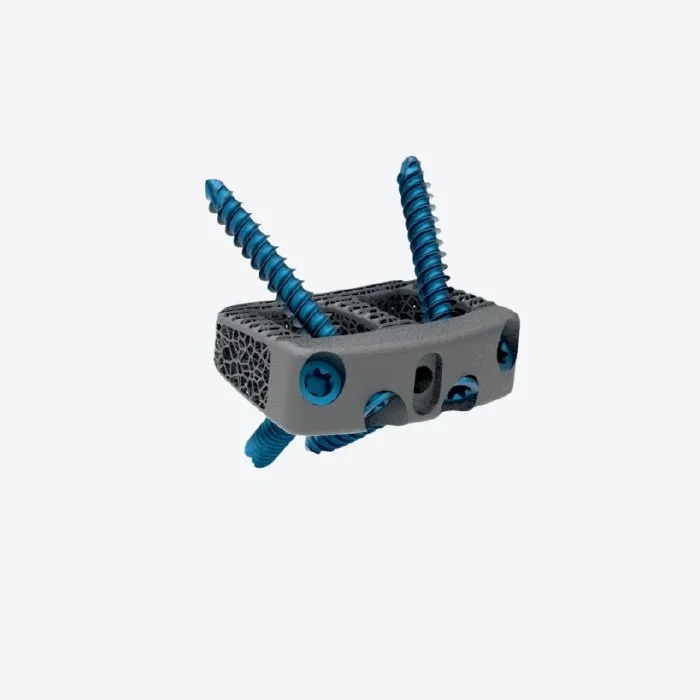 3D-FLX ALIF CAJA ANTEROLUMBAR PERFIL CERO
