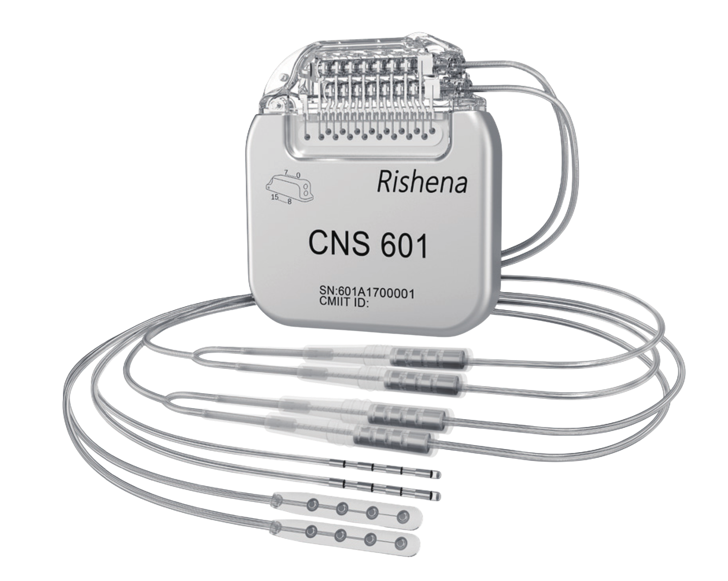 CNS.png