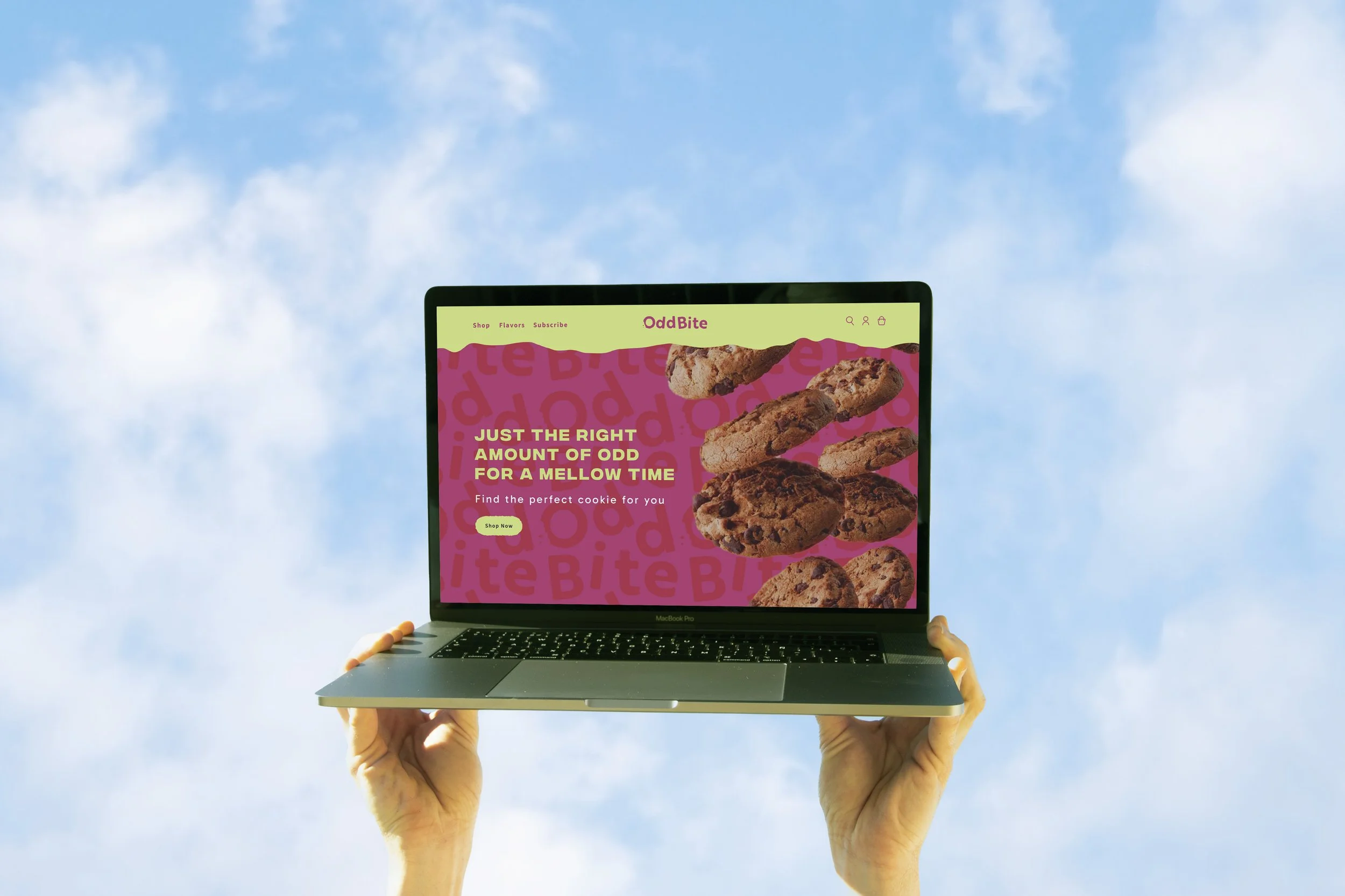 Oddbite_Web_mockup.jpg