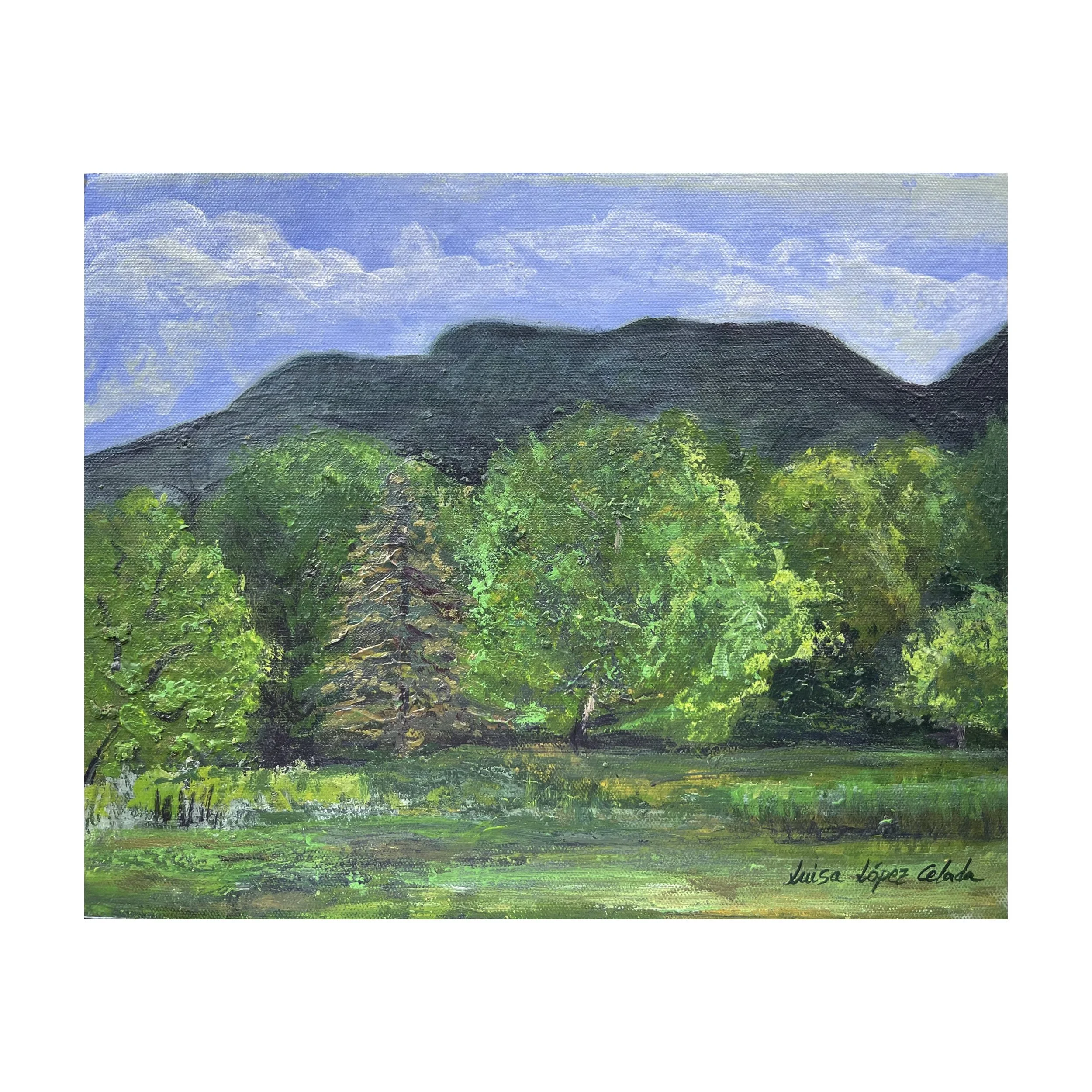 Catskills