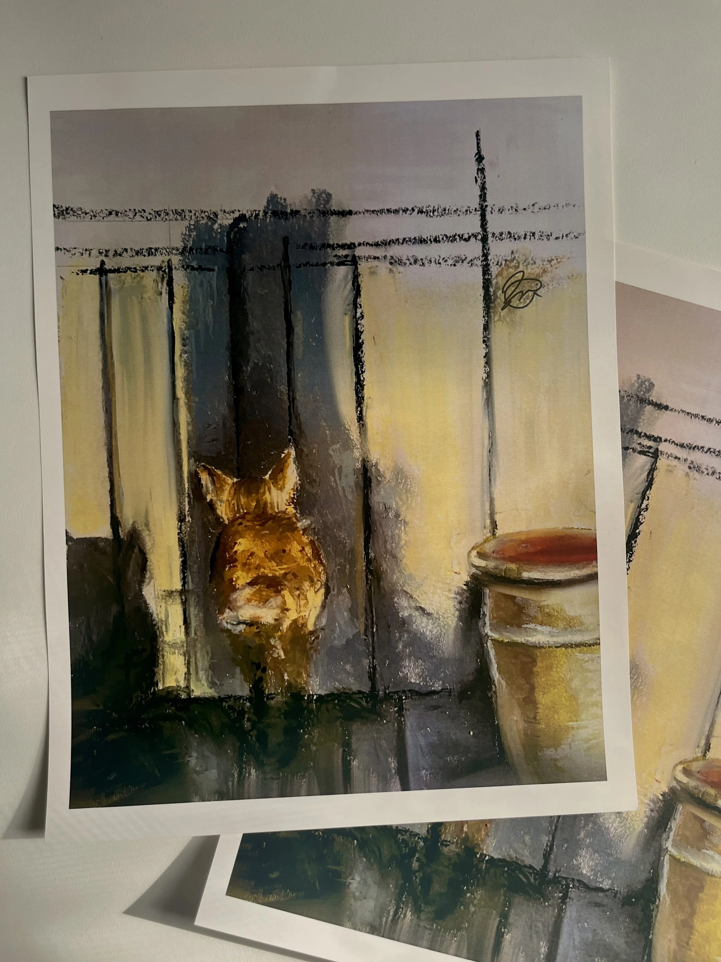 Cat At Sunrise/Sunset Print