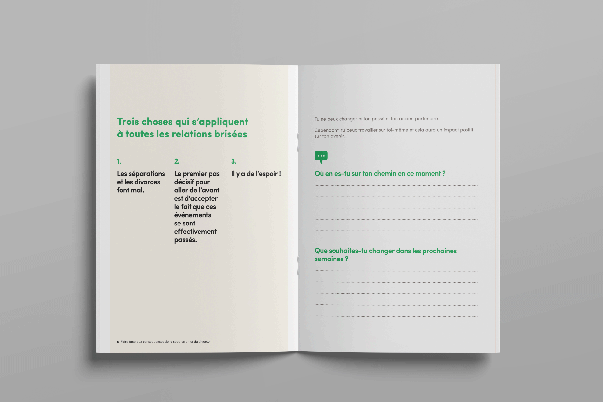 Mise-en-page-brochure-3.gif