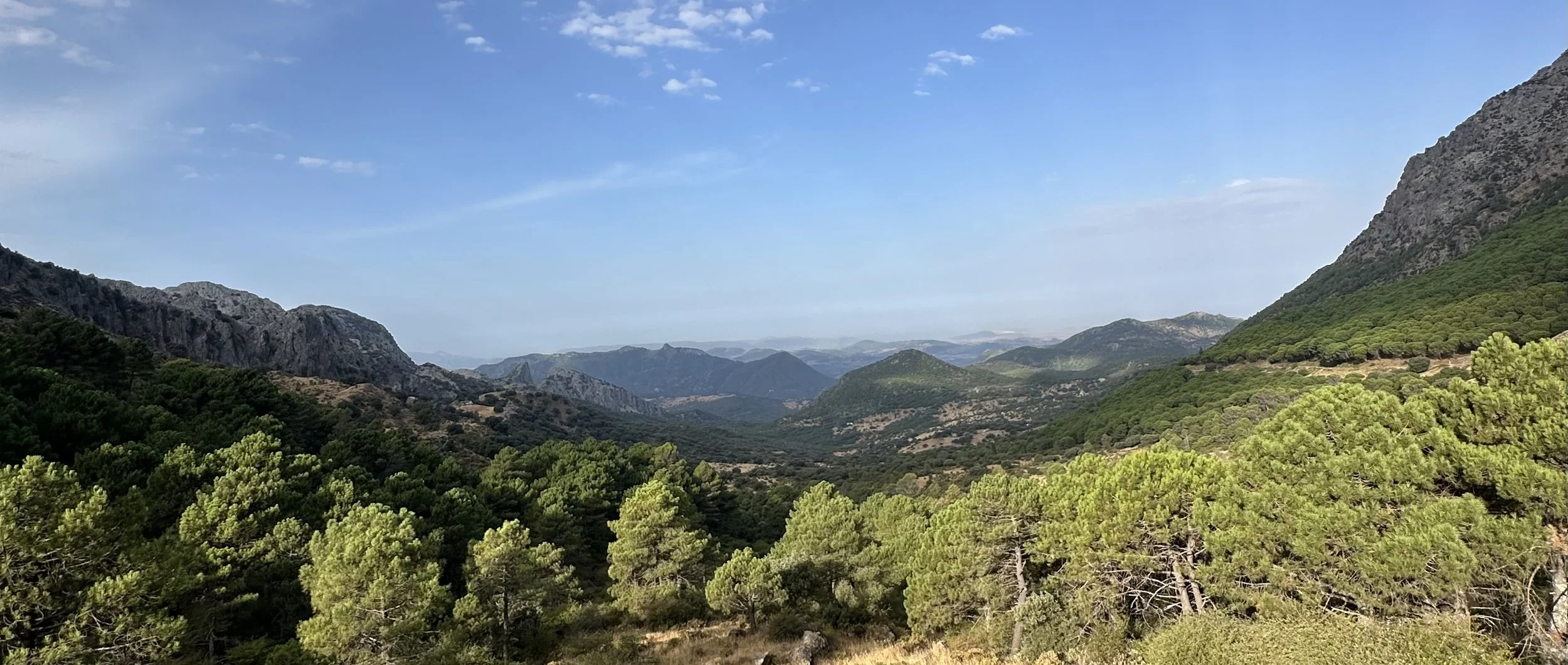 Scenic view of a mountainous landscape with densely wooded green trees, rugged rocky hills, and distant mountain ranges under a partly cloudy blue sky.