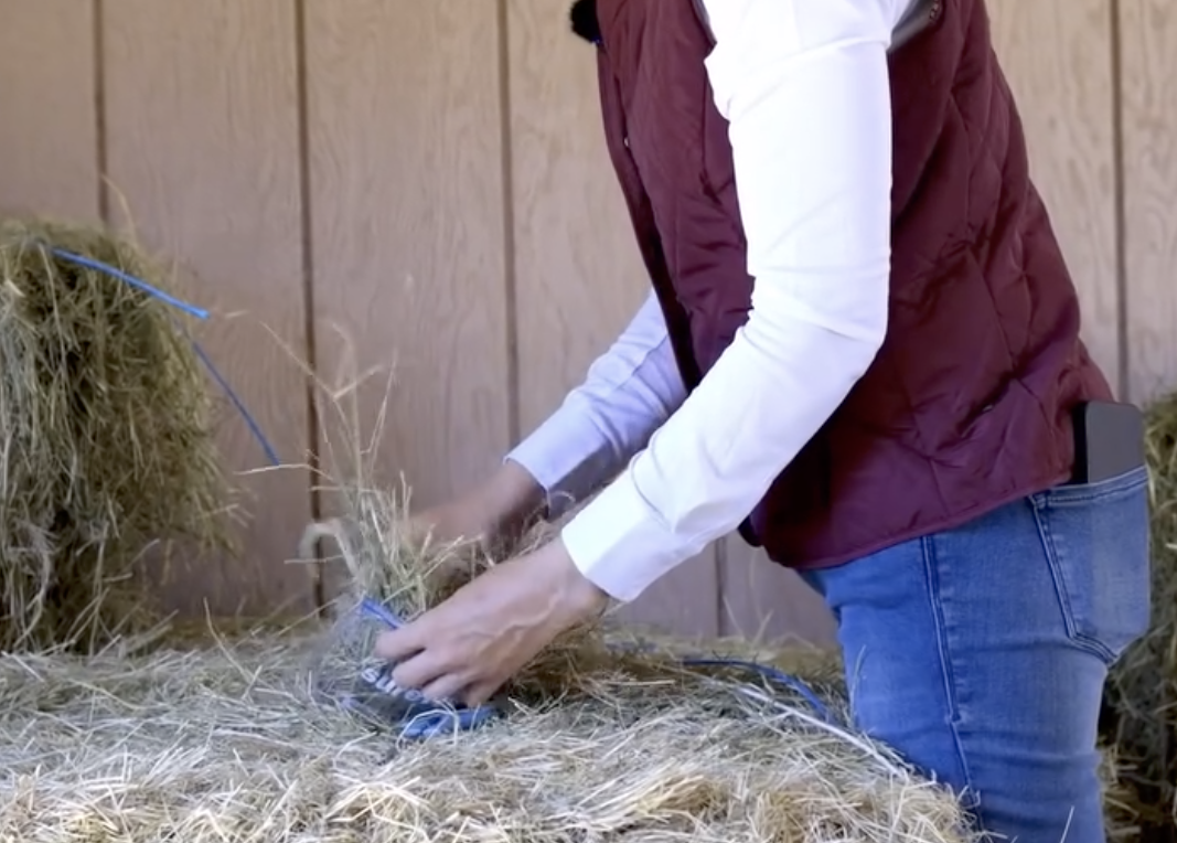 Taking a Hay Test Cover.png