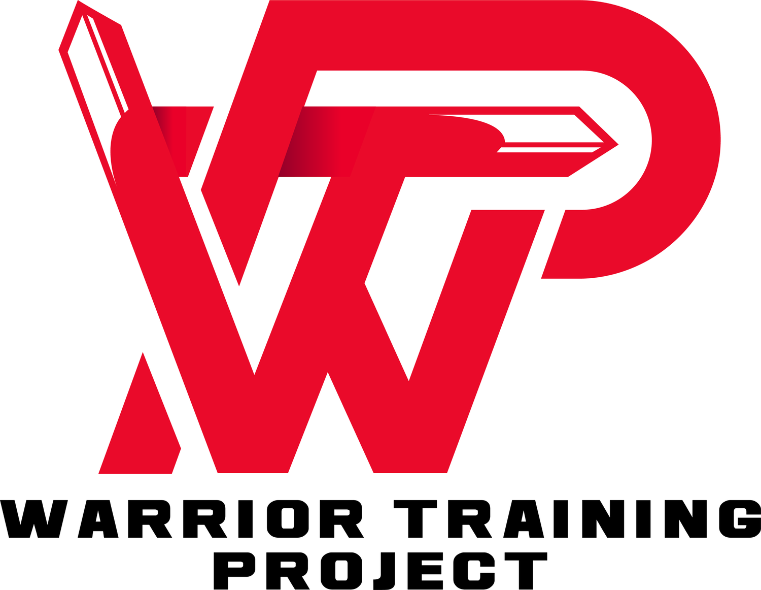 WARRIOR TRAINING PROJECT