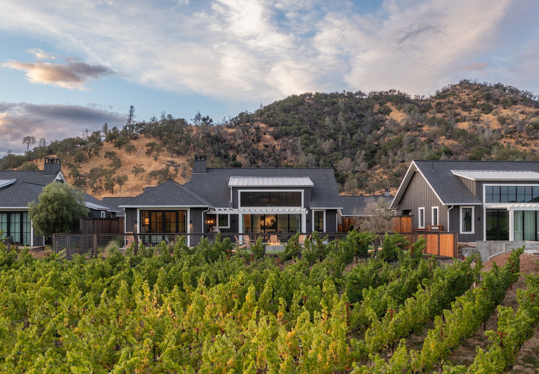 A row of modern houses with dark roofs and large windows, situated on a hillside with grapevines in the foreground and a mountain behind, under a partly cloudy sky.