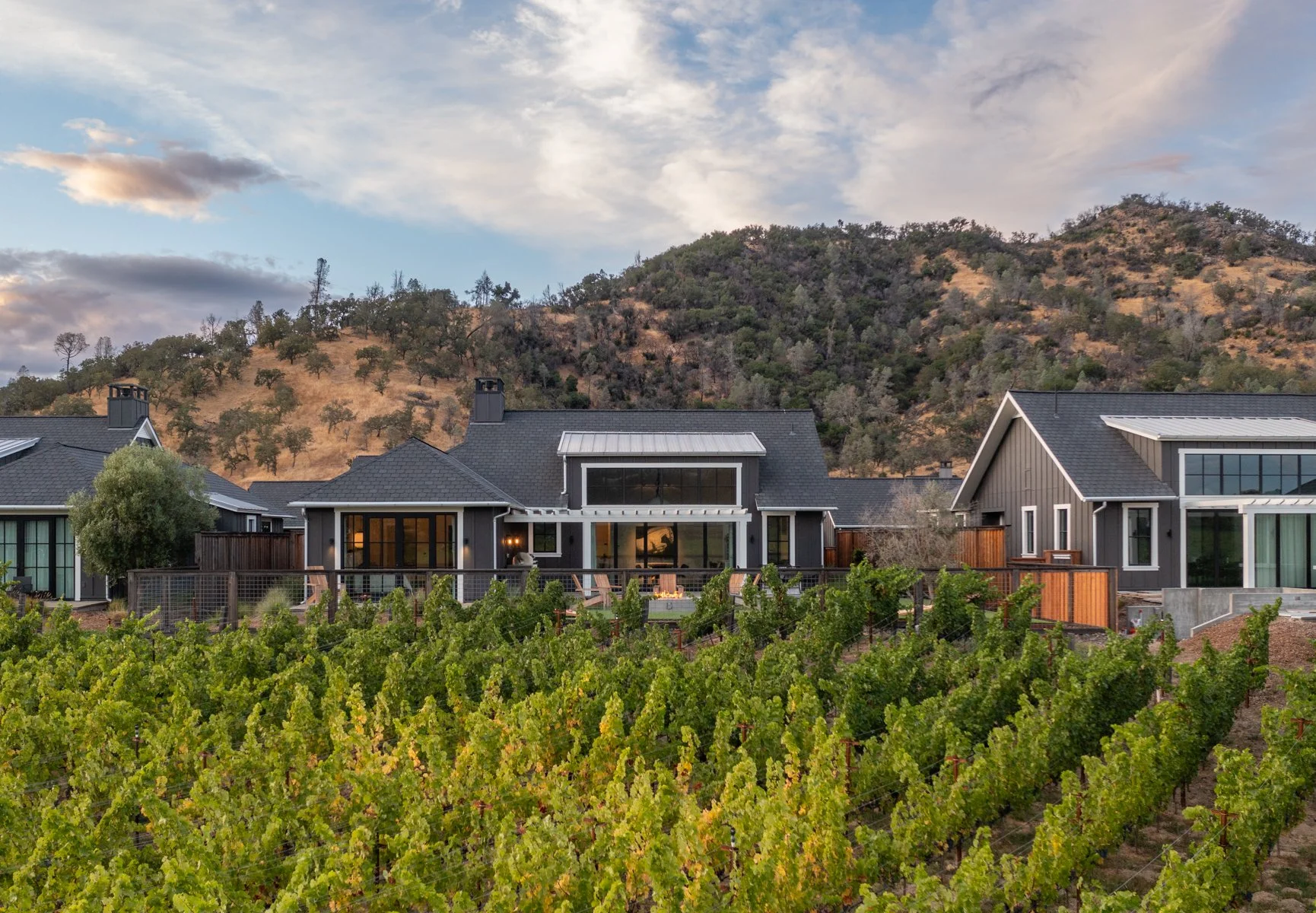 Modern houses with dark gray roofs and large windows in a vineyard setting, with a hillside and partly cloudy sky in the background.