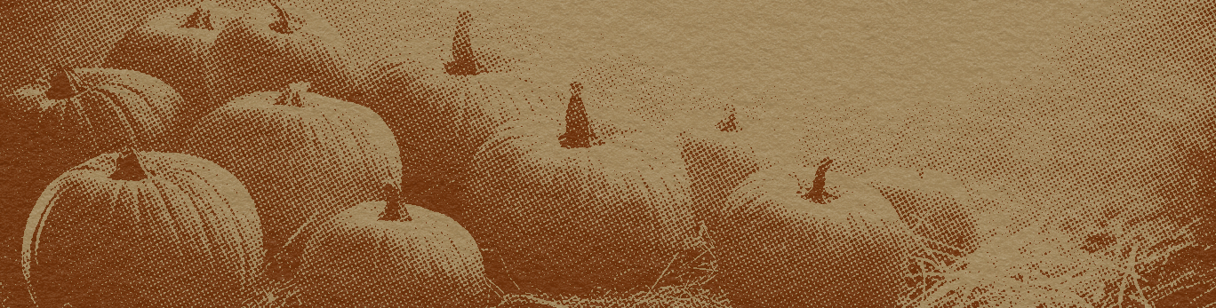 Vintage-style fall pumpkin field graphic for Octoberest, a virtual sound bath promotion from Sixth & Twelfth Sound.