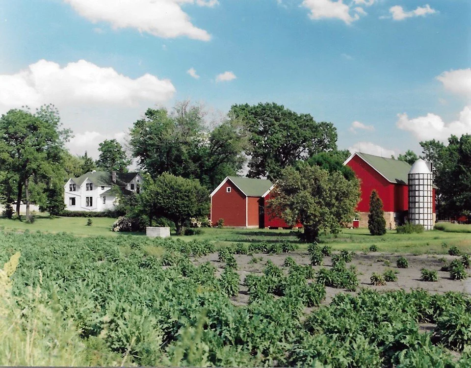 tbd_wayside farm_001.jpg