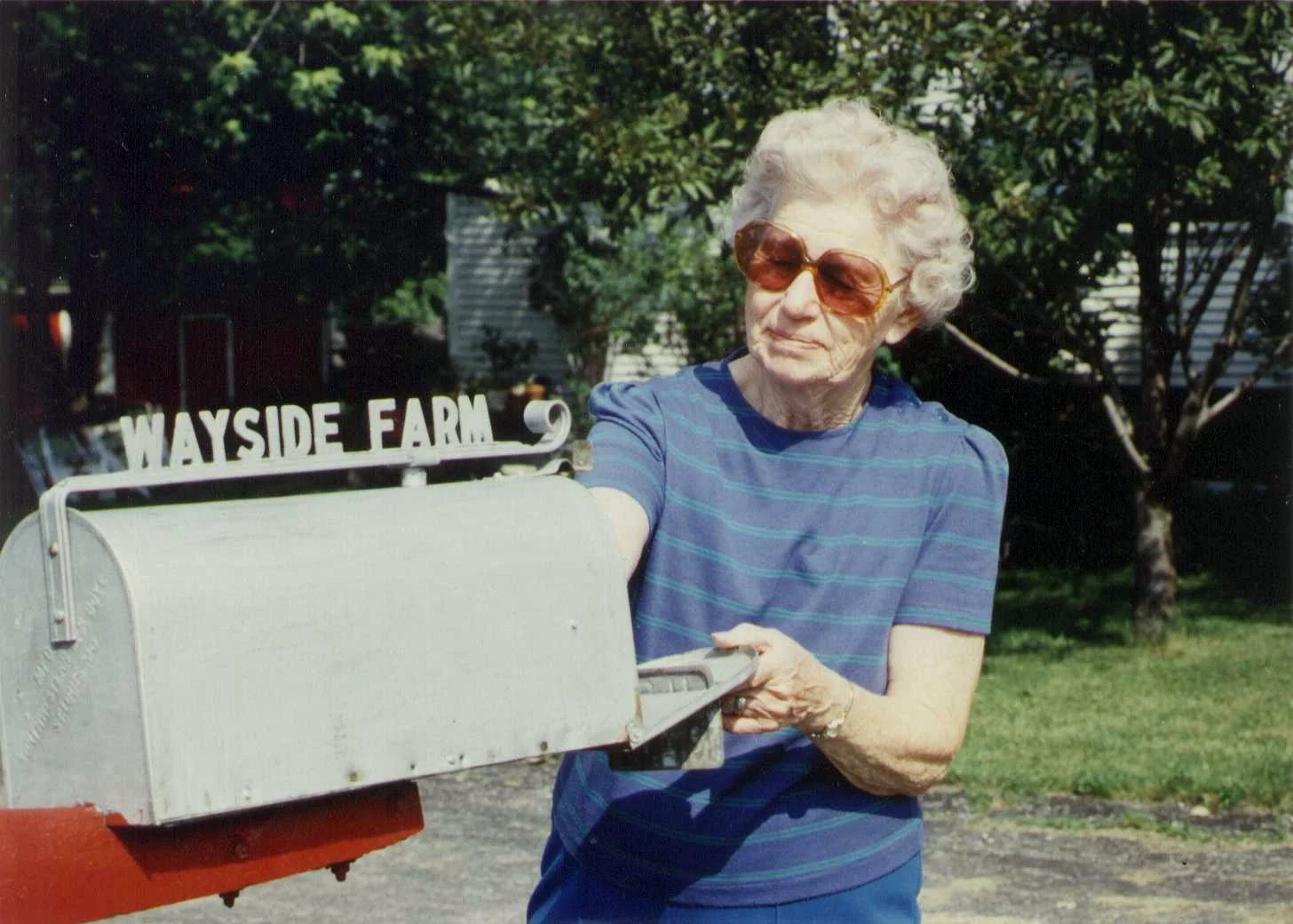 tbd_wayside farm_olive werhane.jpg