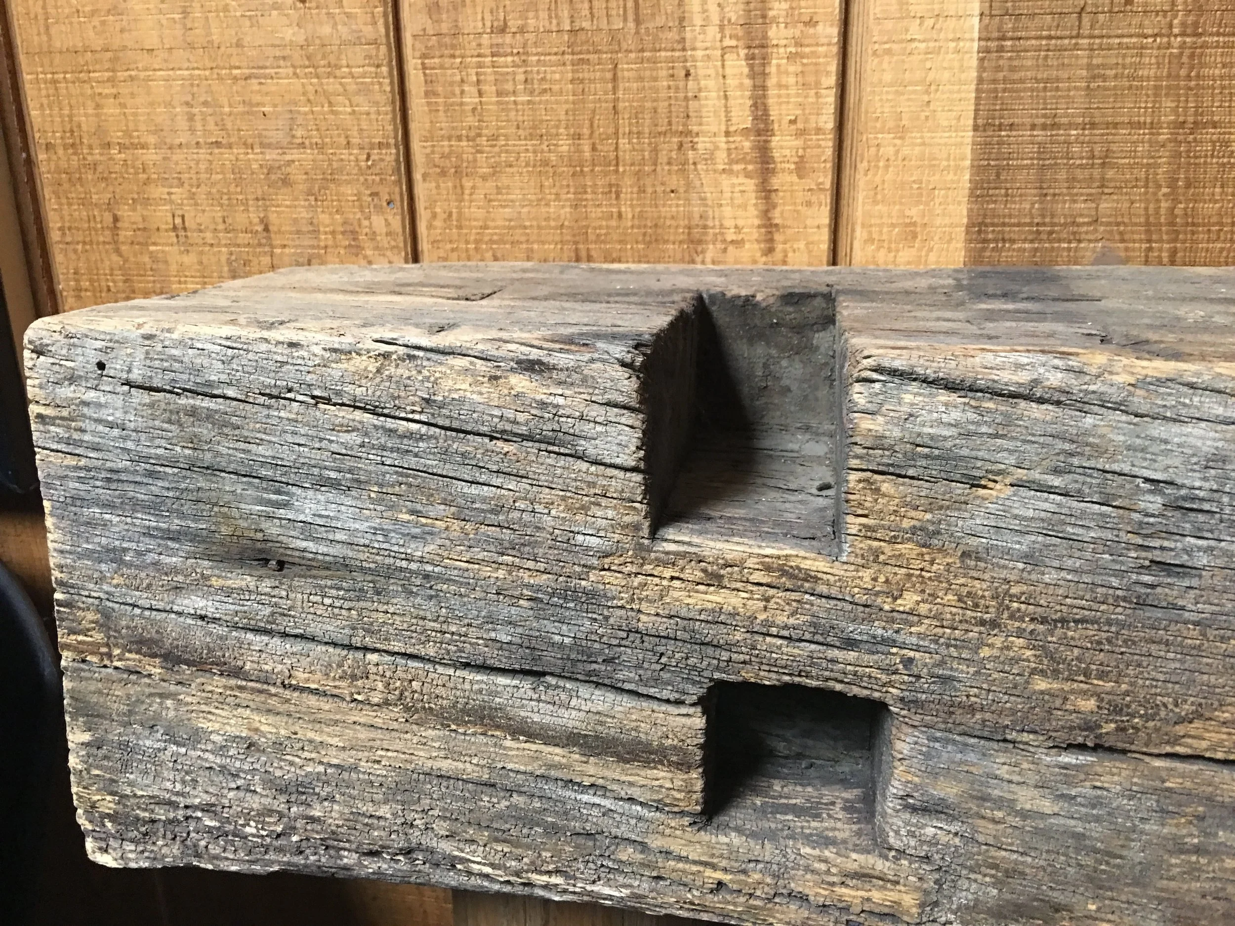 2017_piece of log at museum.jpg