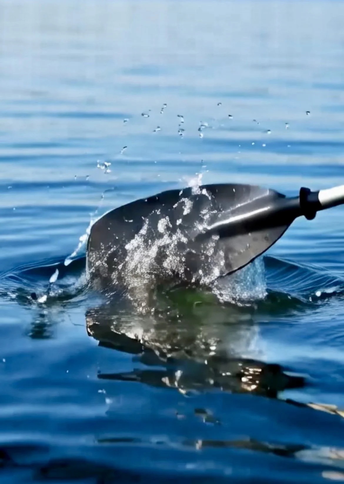 A paddle partially submerged in the water with water splashing around it.
