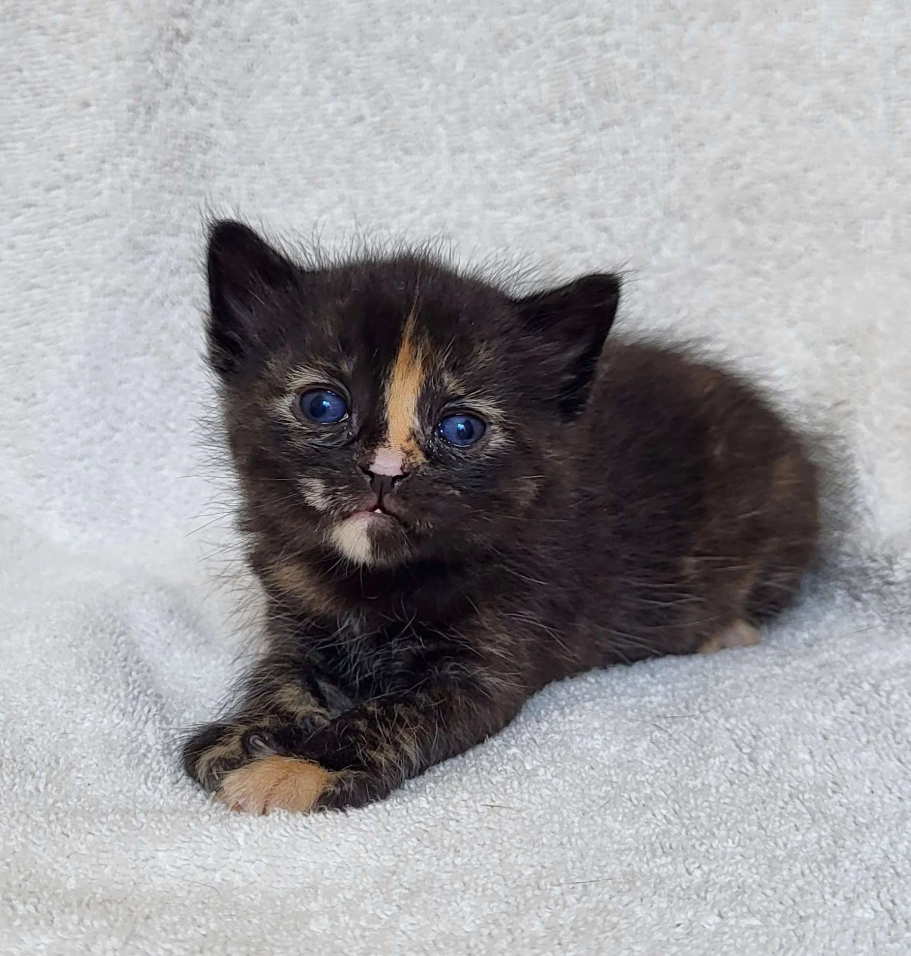 Three weeks already??