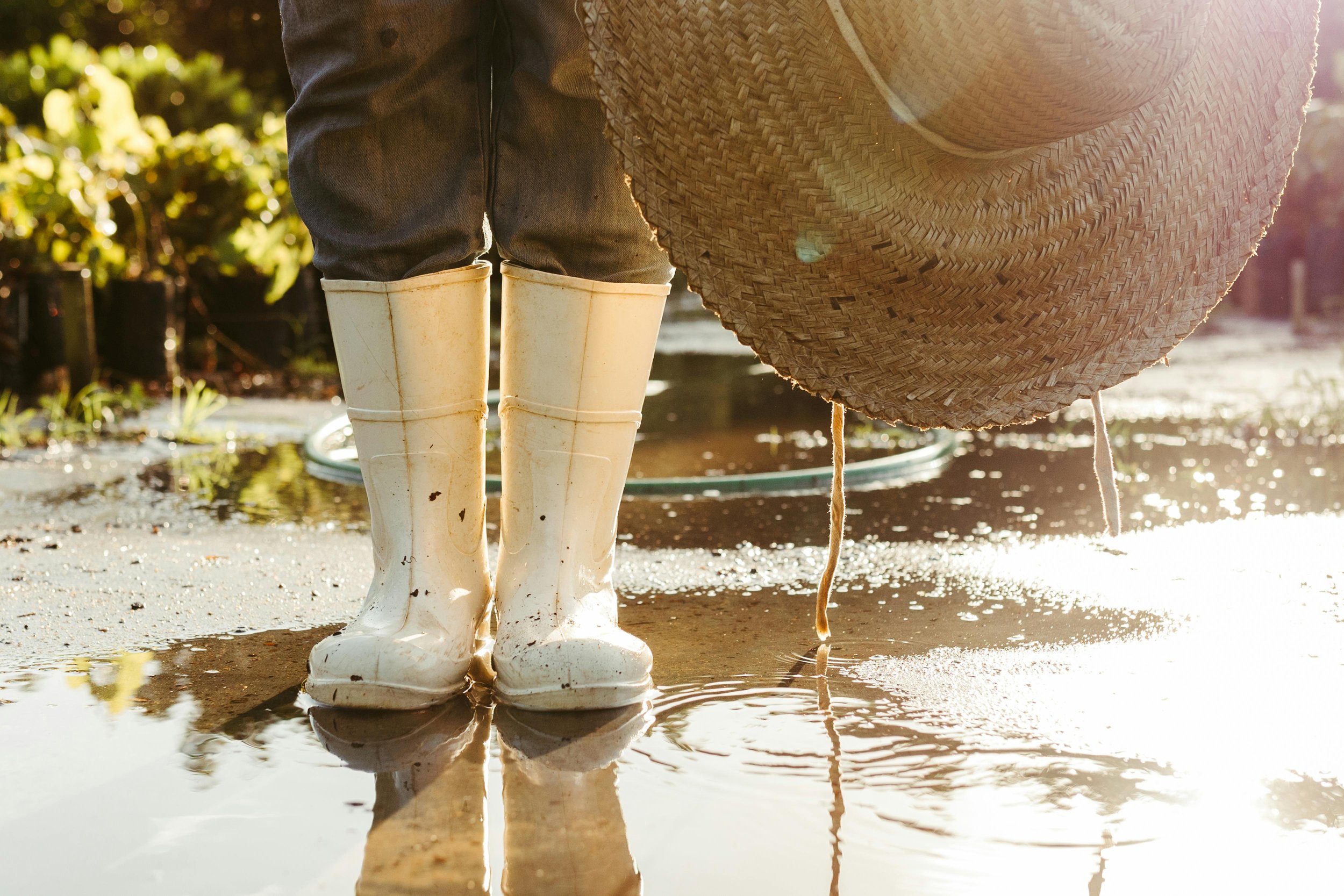 Staying Balanced in Spring with Ayurveda