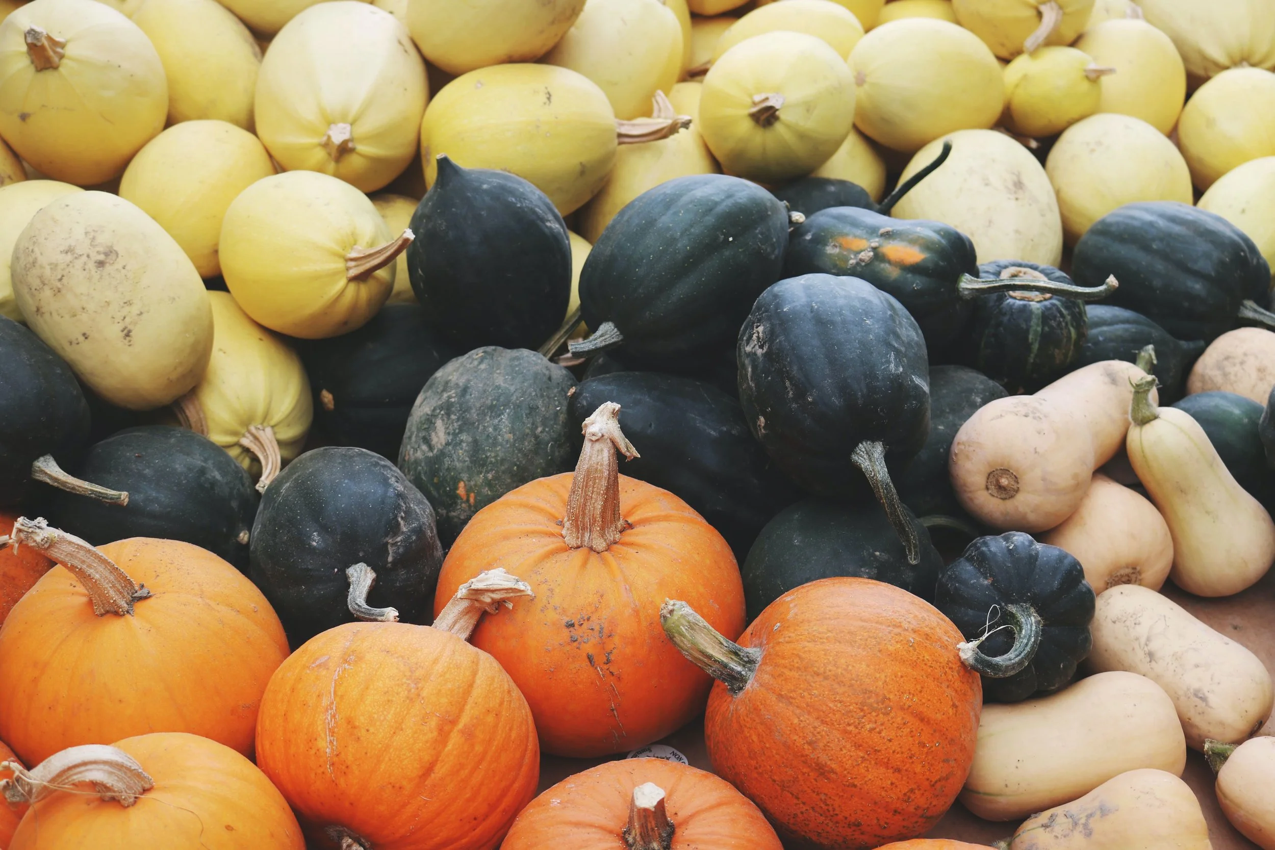Embracing Transition through the Wisdom of Ayurveda