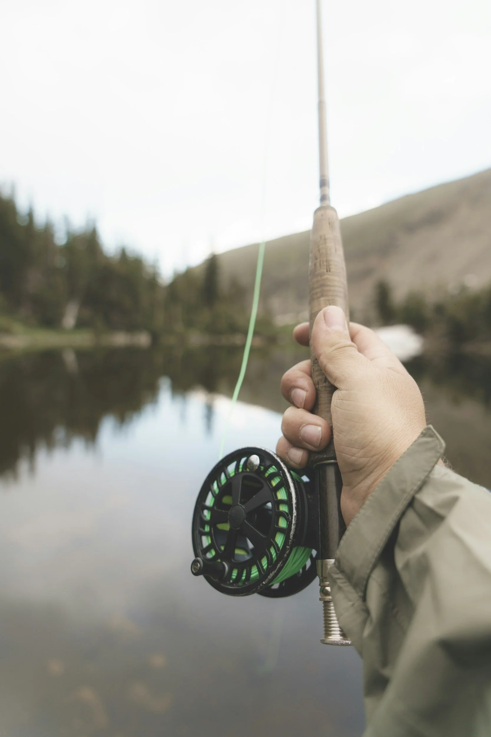 A person holding a fly fishing rod over a calm river with a forested mountain in the background under a cloudy sky.