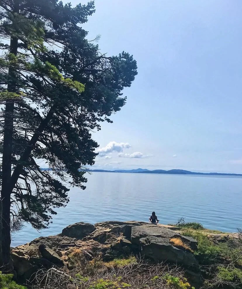 A woman sitting on rocks by a lake, with trees in the foreground and distant mountains under a clear sky.