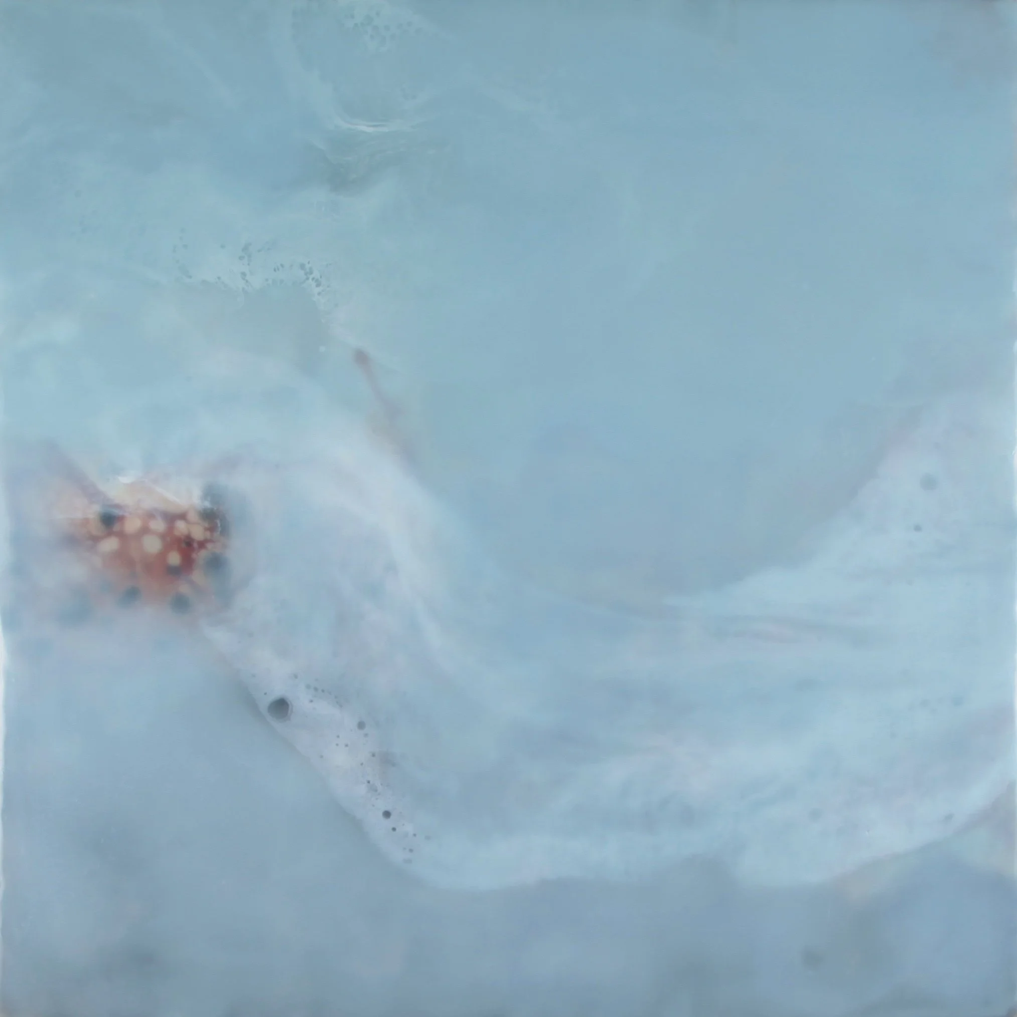 Floating Over Ambergris Caye