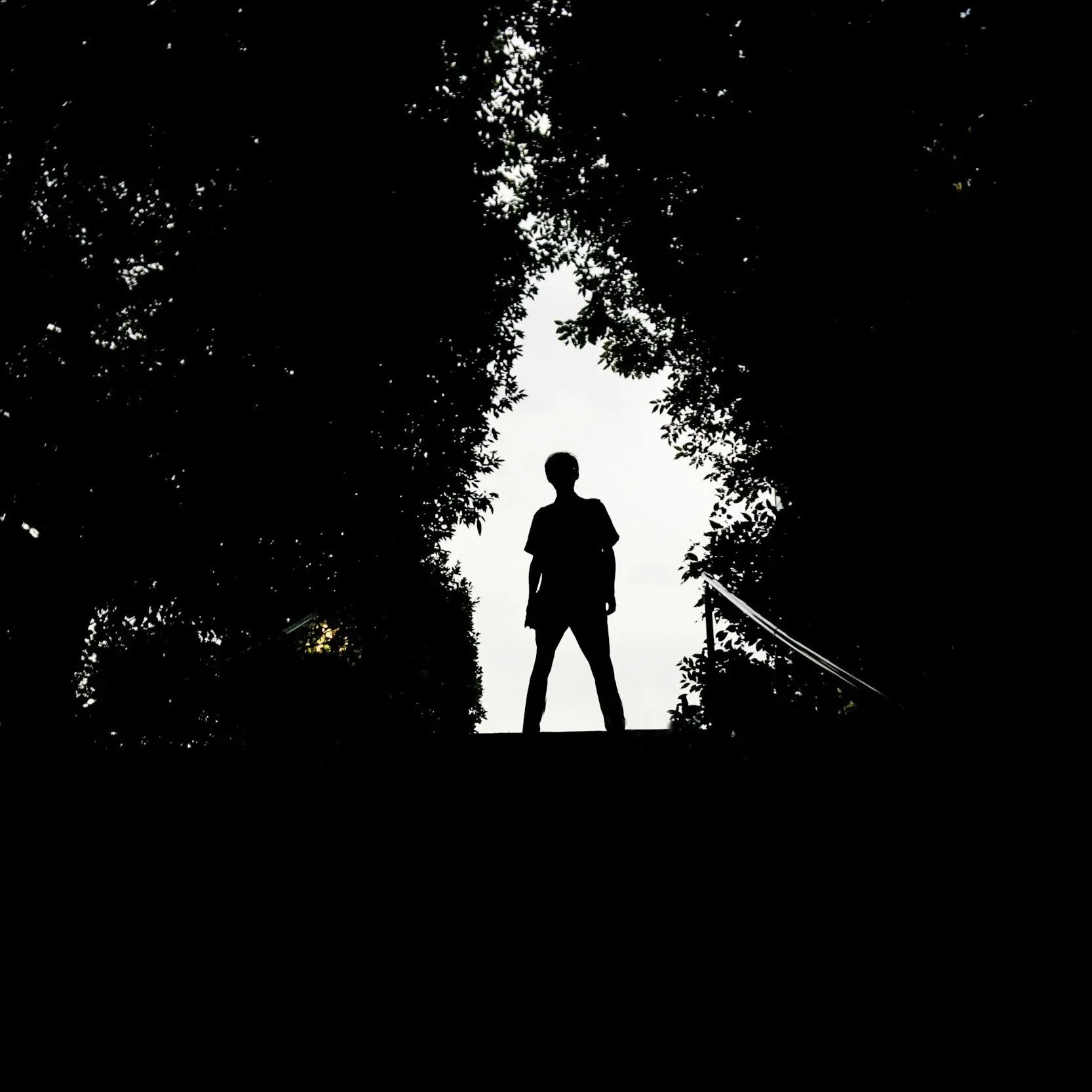Silhouette of a person standing with hands on hips against a bright sky, surrounded by trees.