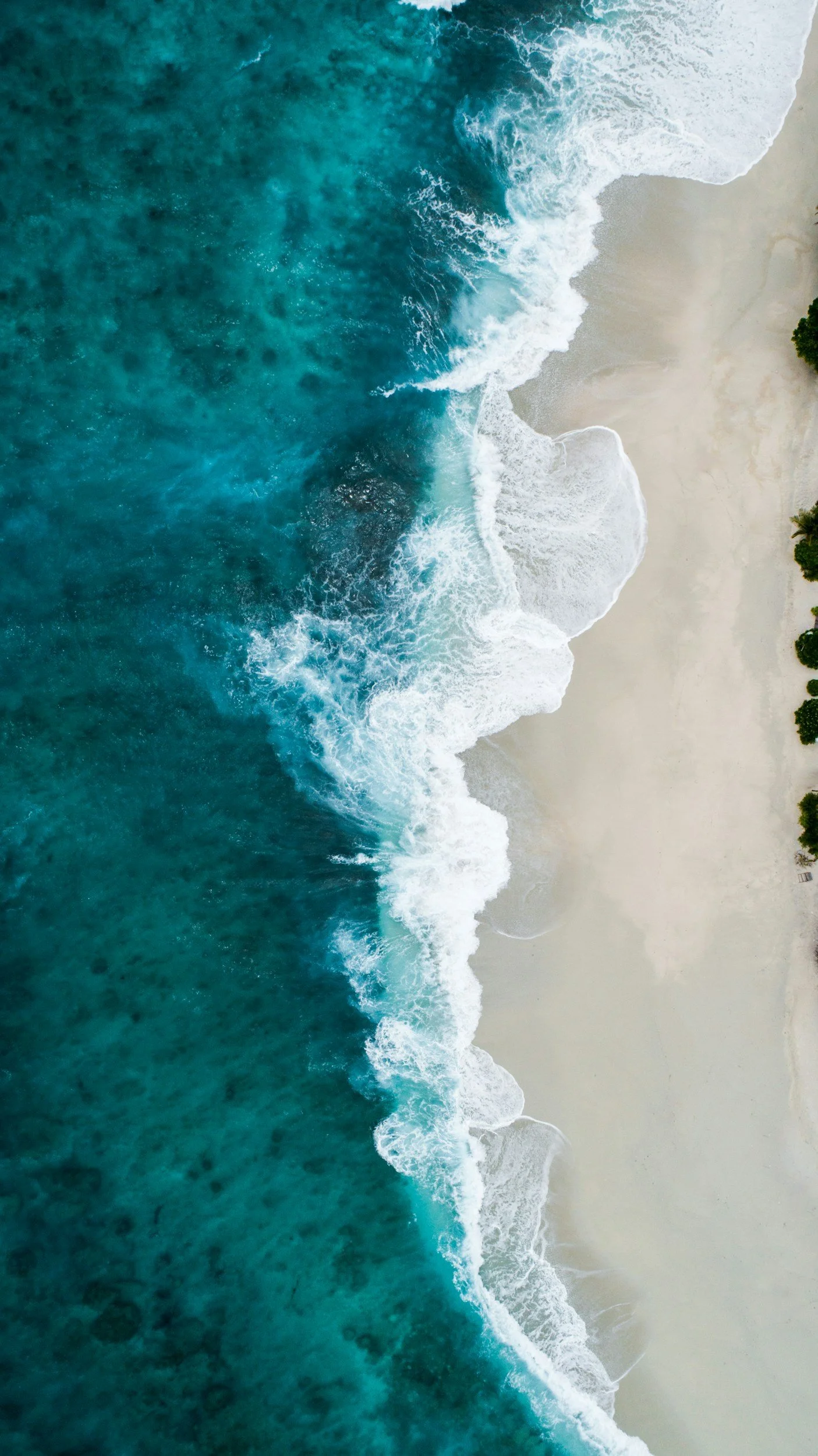 Plage de sable blanc avec des vagues de mer turquoise et quelques arbres verdoyants sur le côté droit.