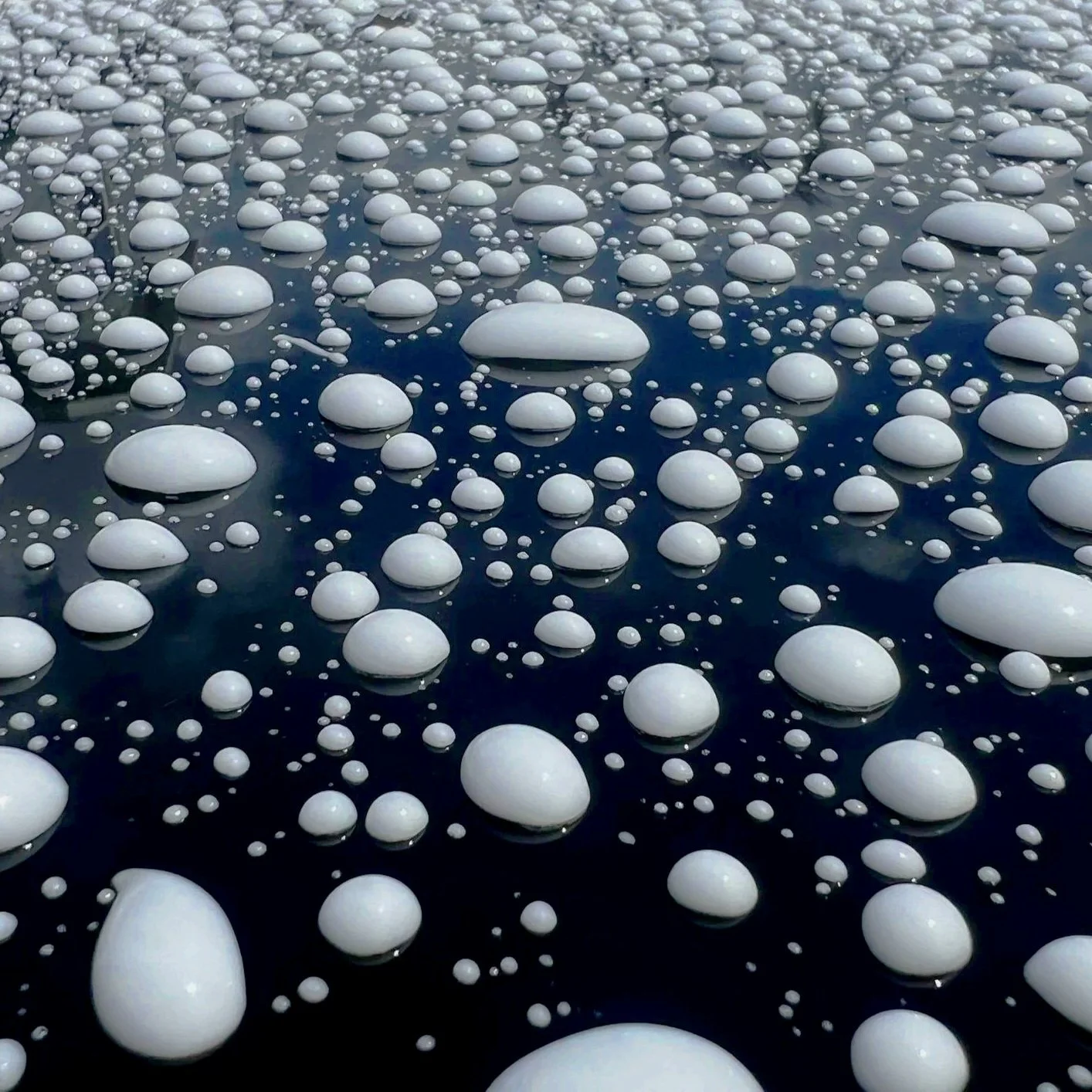 Close-up of numerous white bubbles floating on the dark surface of a liquid.