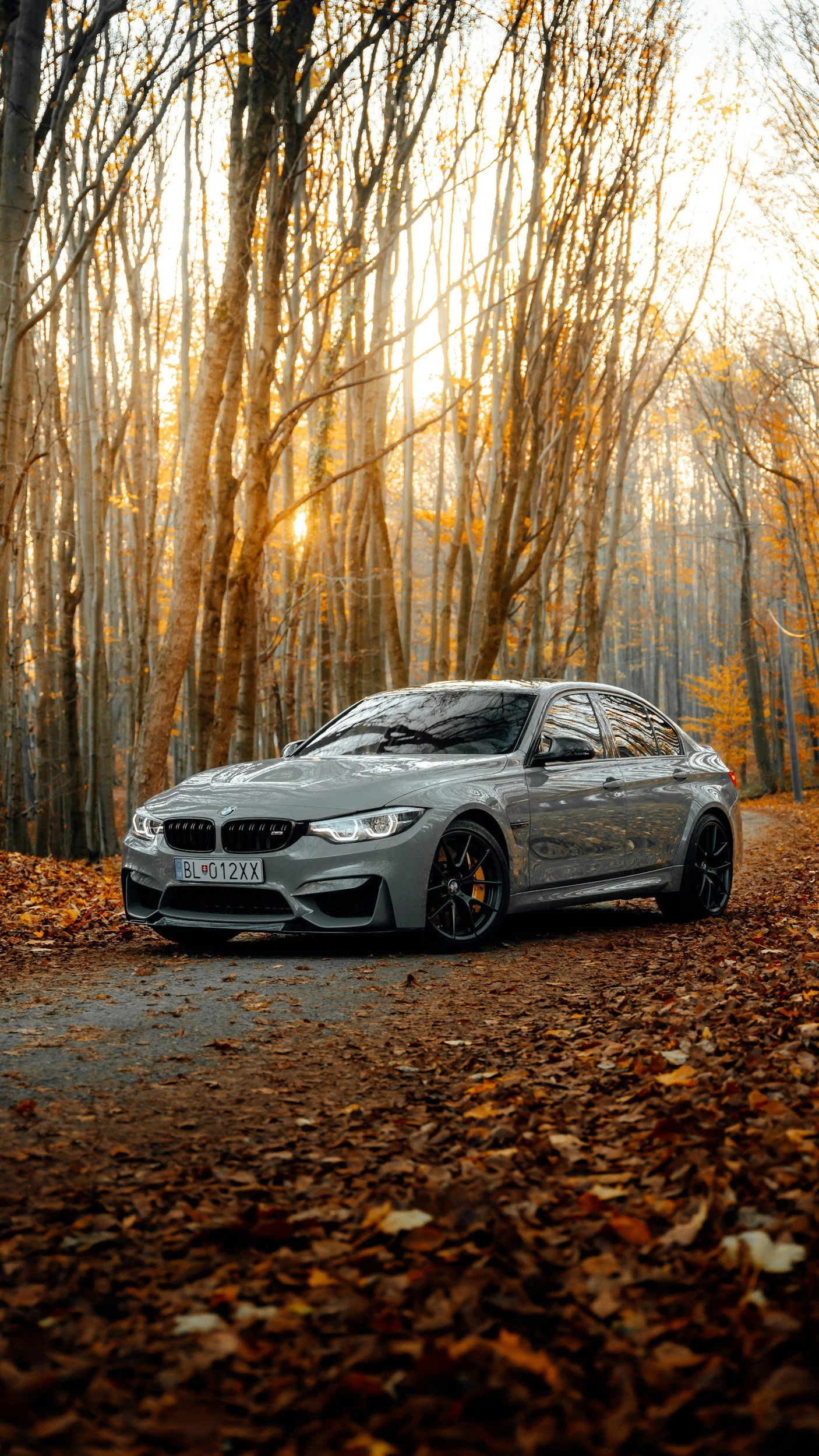 A silver BMW car parked on a dirt road covered with fallen autumn leaves, surrounded by a dense forest with tall, leafless trees and sunlight filtering through the branches.