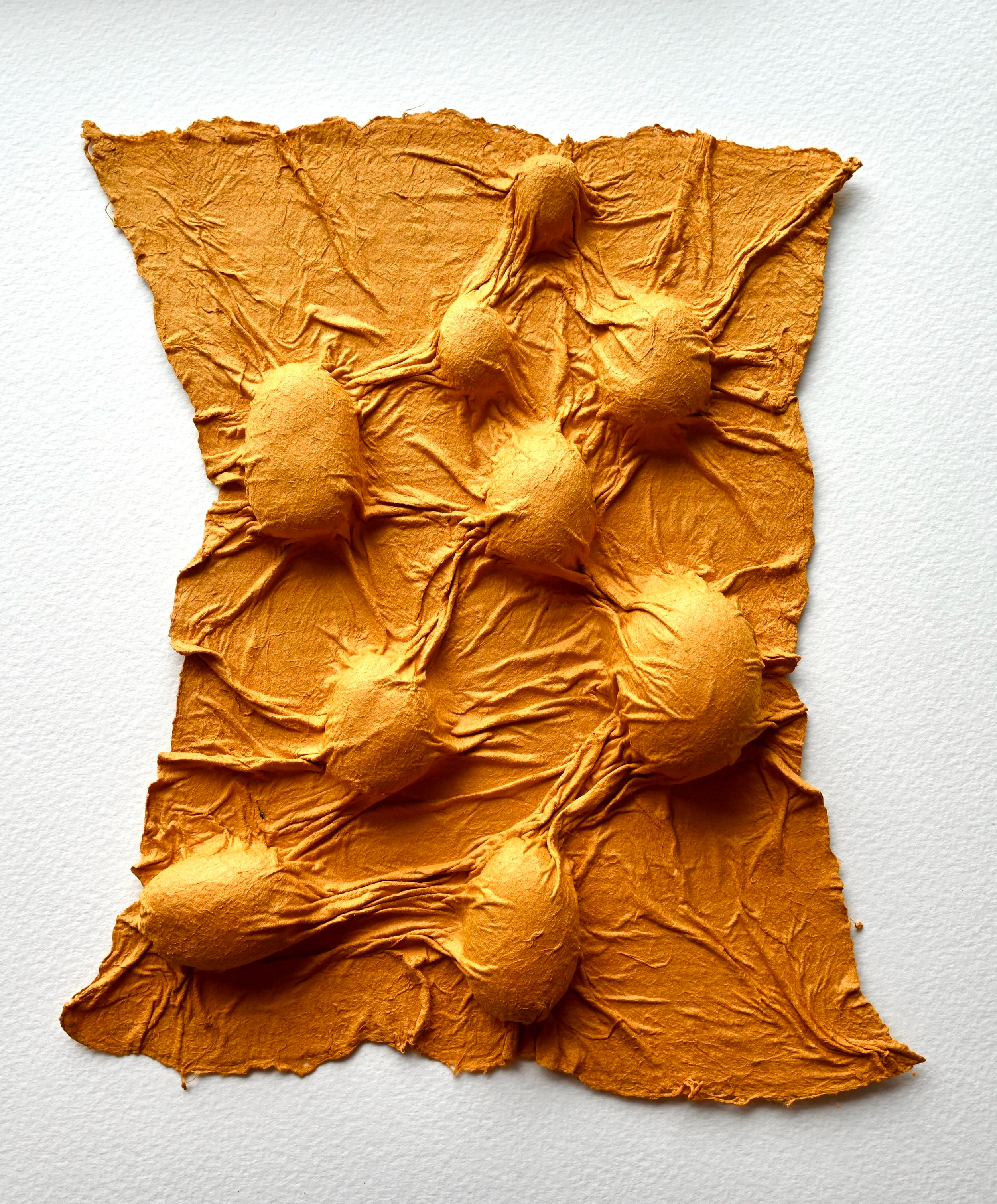 Birthing Pods - Joomchi Paper Sculpture,          9 x 10.5 inches