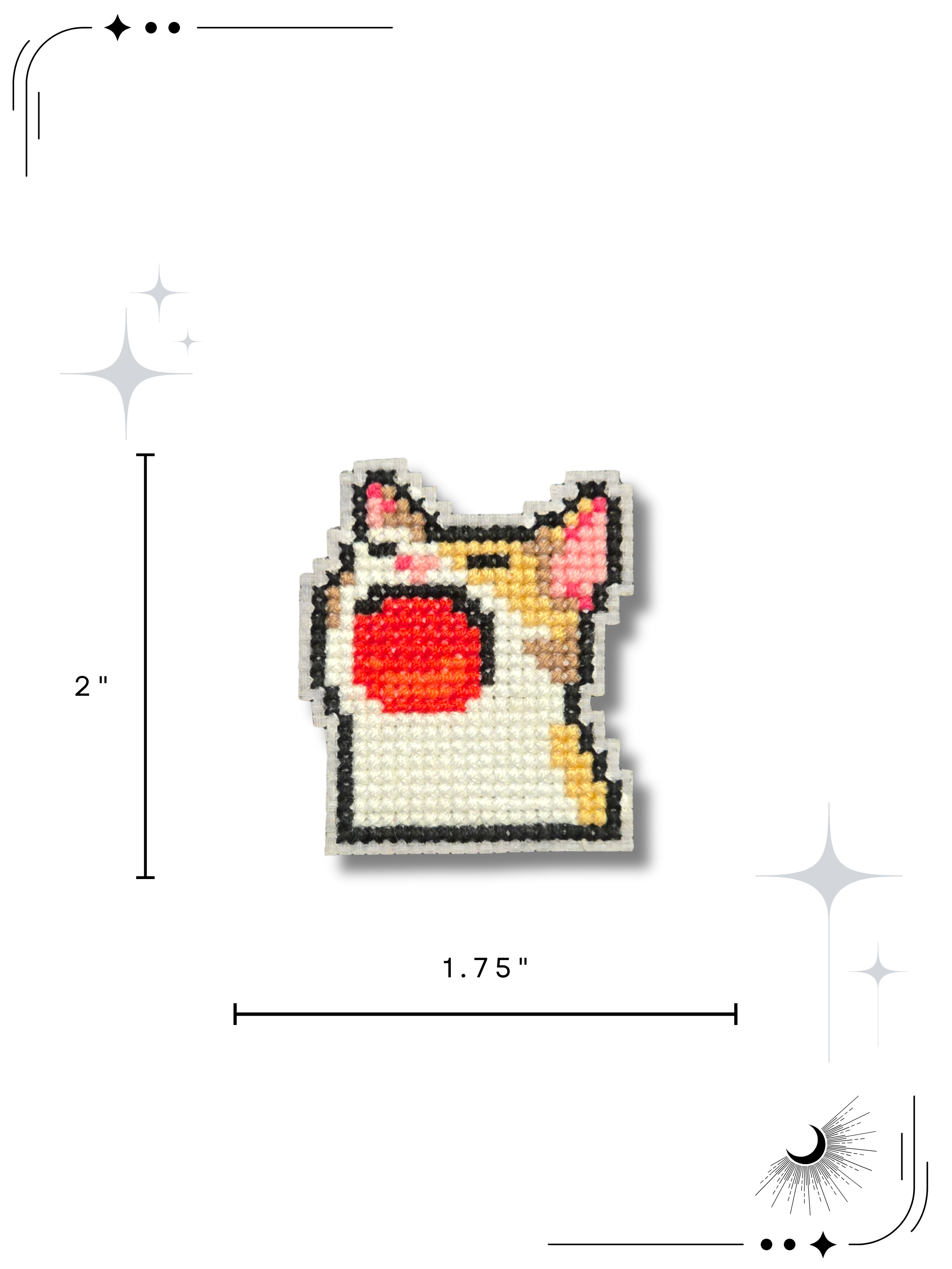 Meme Cat w Dims.png