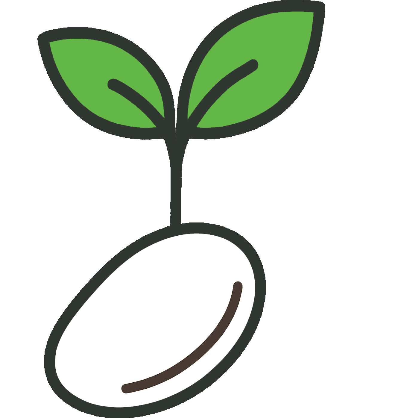 A simple illustration of a sprouting seed, showing a white seed with a dark brown line, sprouting two green leaves connected by a black stem.