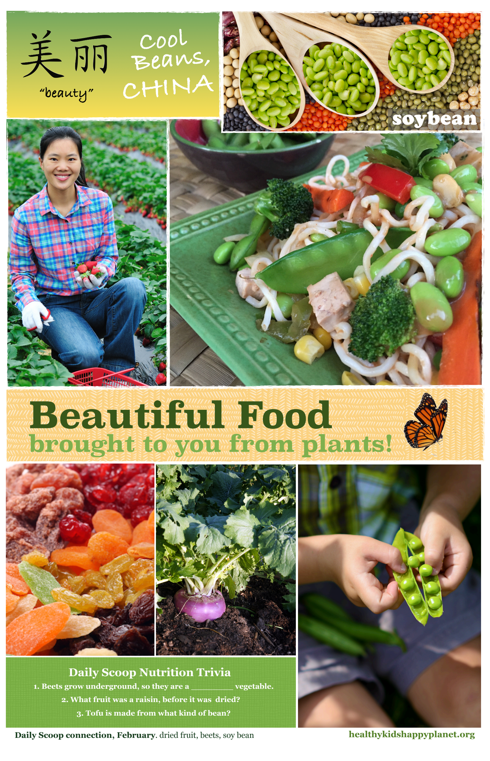 Children picking strawberries in a strawberry farm, a colorful array of beans including soybeans in wooden spoons, close-up of a prepared vegetable salad with broccoli, carrots, snap peas, and tofu, a radish plant growing underground, and children handling green beans. The collage promotes plant-based foods with the phrase 'Beautiful Food brought to you from plants!'