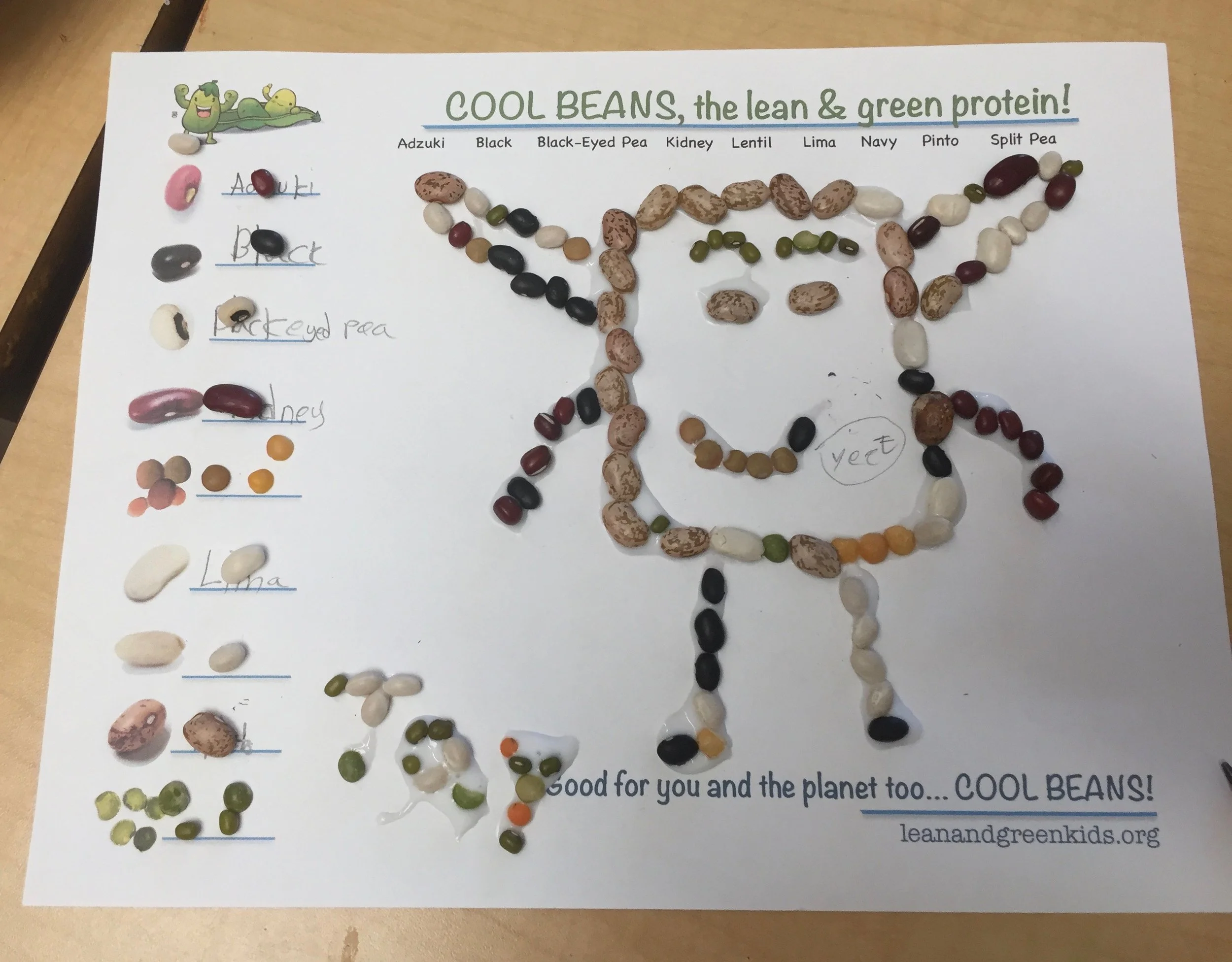 A printed sheet with colorful beans arranged to form a diagram of a plant, including labels for different types of beans such as Adzuki, Black, Black-Eyed Pea, Kidney, Lentil, Lima, Navy, Pinto, and Split Pea. The sheet has some handwritten notes and